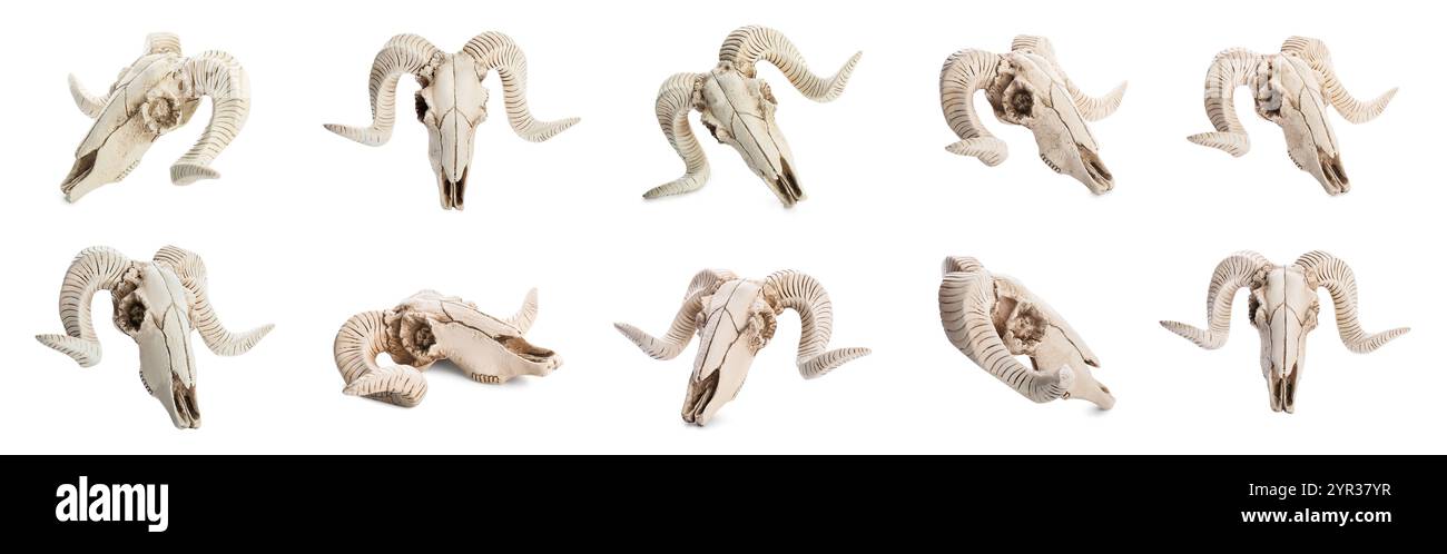 Set of diabolic skulls hi-res stock photography and images - Alamy