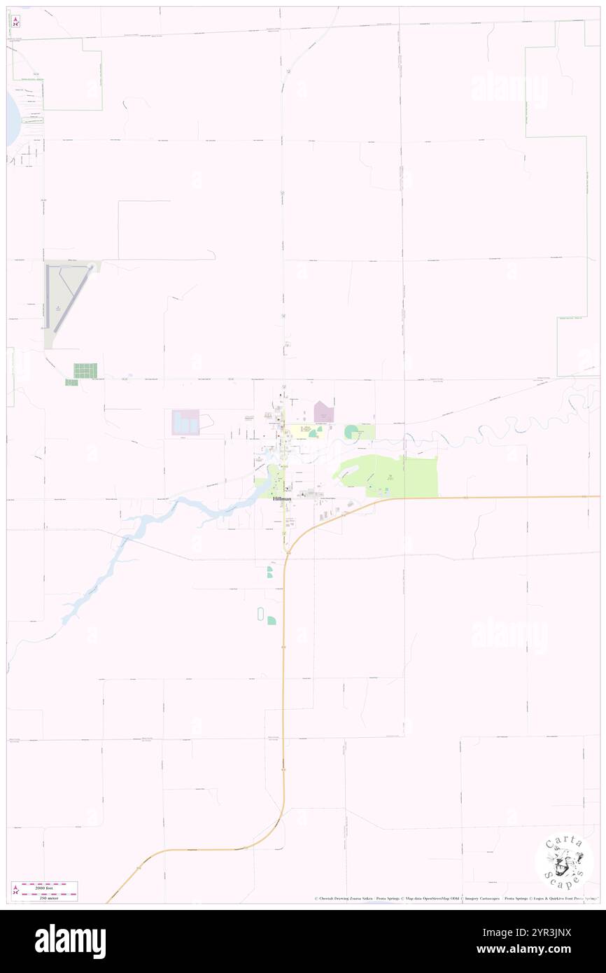 Village of Hillman, Montmorency County, US, United States, Michigan, N 45 3' 51'', S 83 53' 50'', map, Cartascapes Map published in 2024. Explore Cartascapes, a map revealing Earth's diverse landscapes, cultures, and ecosystems. Journey through time and space, discovering the interconnectedness of our planet's past, present, and future. Stock Photo