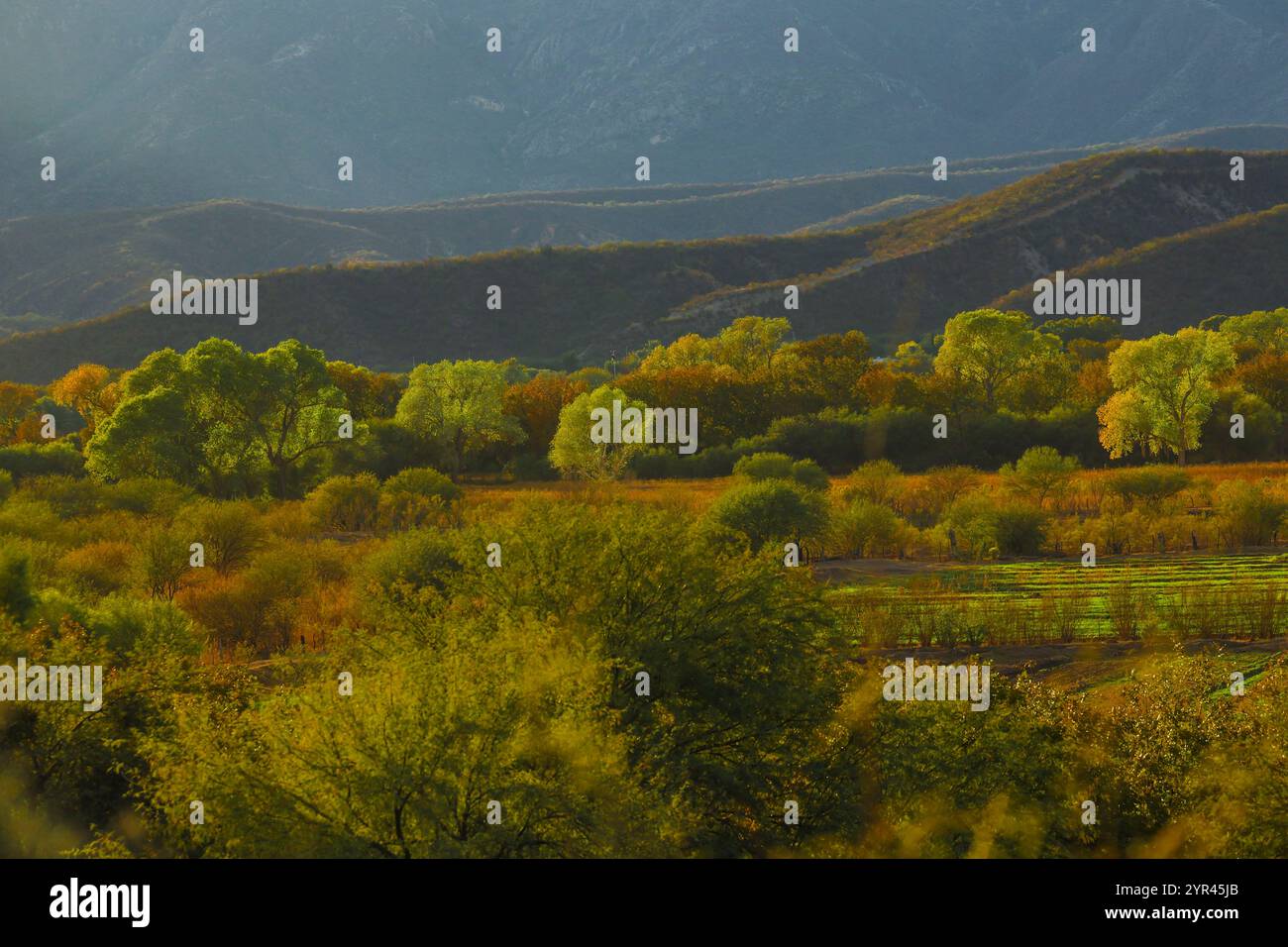 Paisaje de un rio hi-res stock photography and images - Alamy