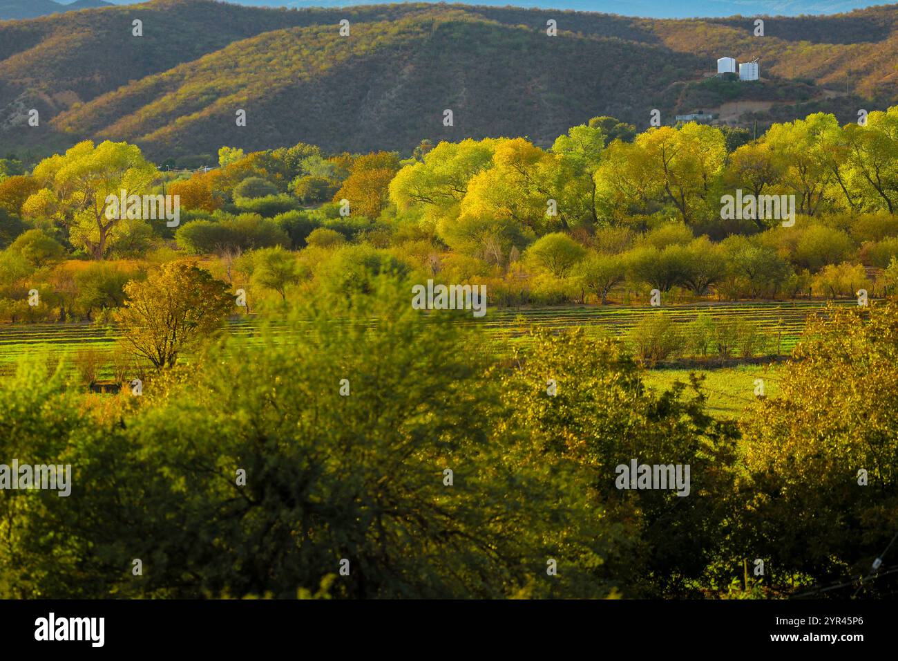 Paisaje de un rio hi-res stock photography and images - Alamy