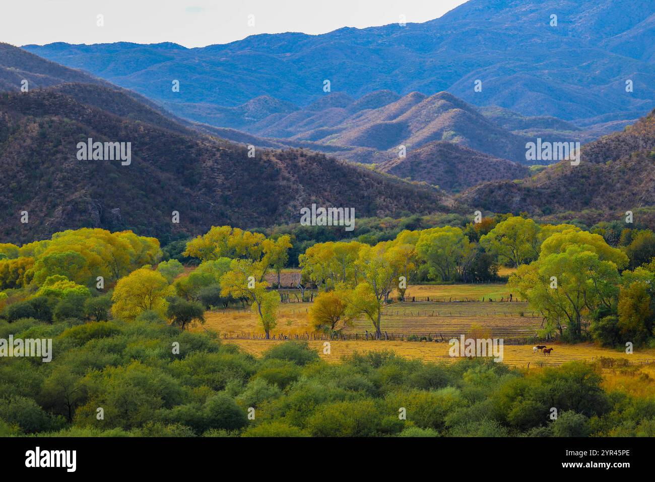Paisaje de un rio hi-res stock photography and images - Alamy