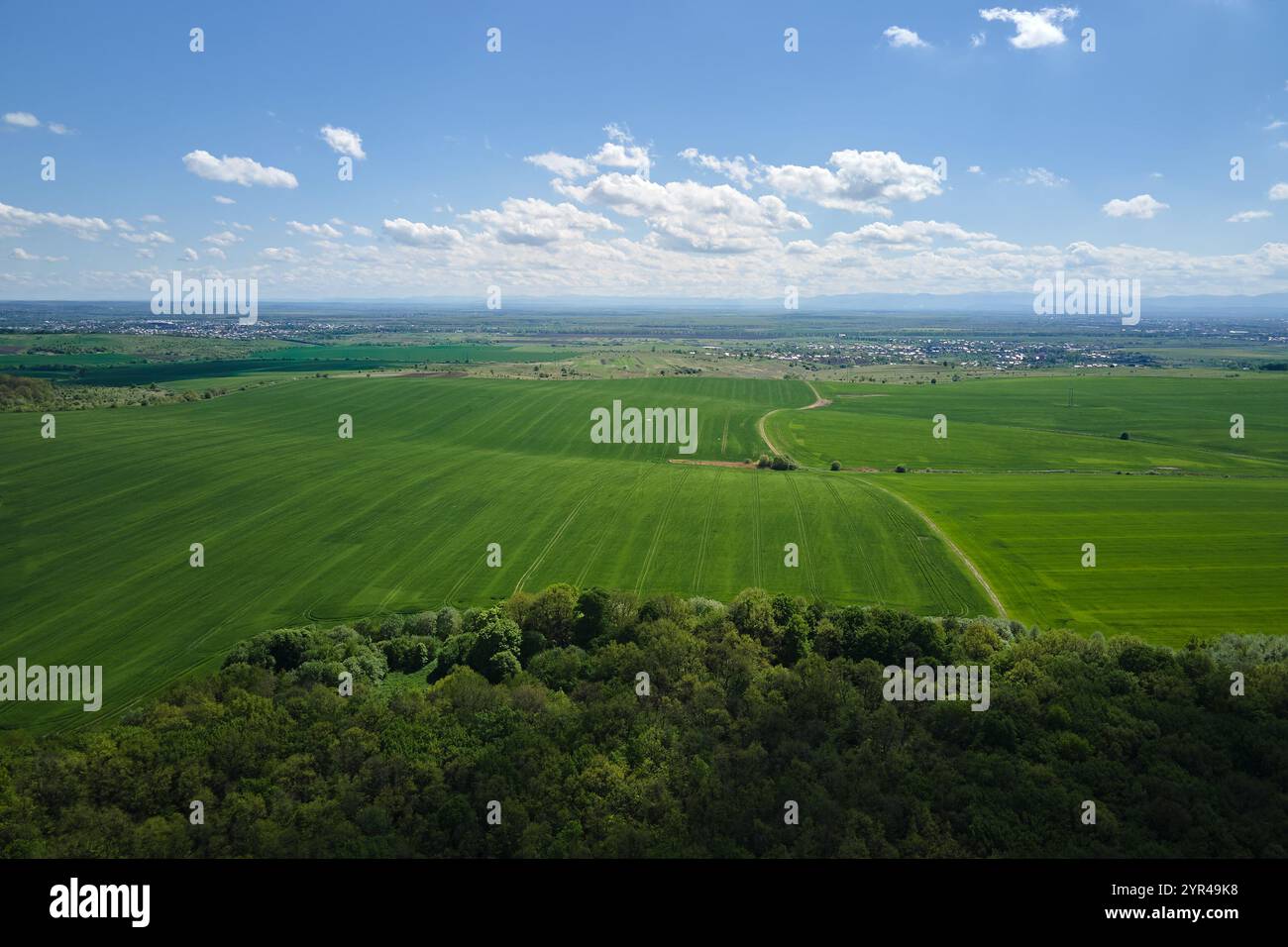 Aerial view of green farm fields in summer season with growing crops ...