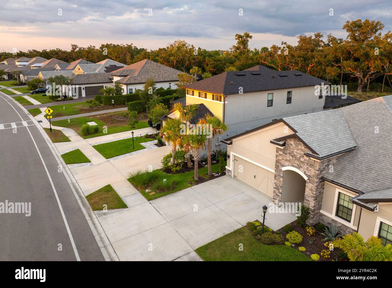 Curated visual reference: Fresh Look at Gated Community With Expensive Houses Between Green Palm Trees In