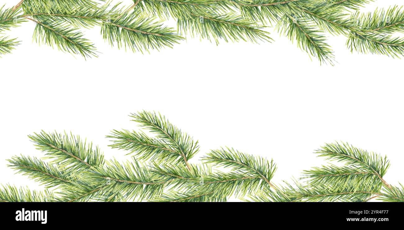 Watercolor pine branches in a seamless border clipart, in shades of ...