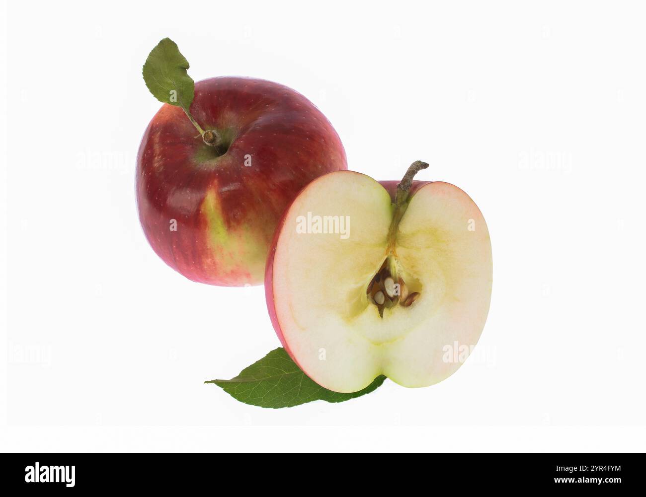 Half of apple Isolated on a white background. Stock Photo