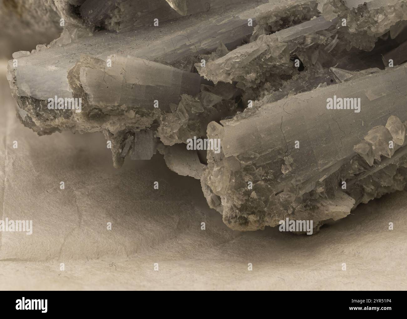 Raw opaque hi-res stock photography and images - Alamy