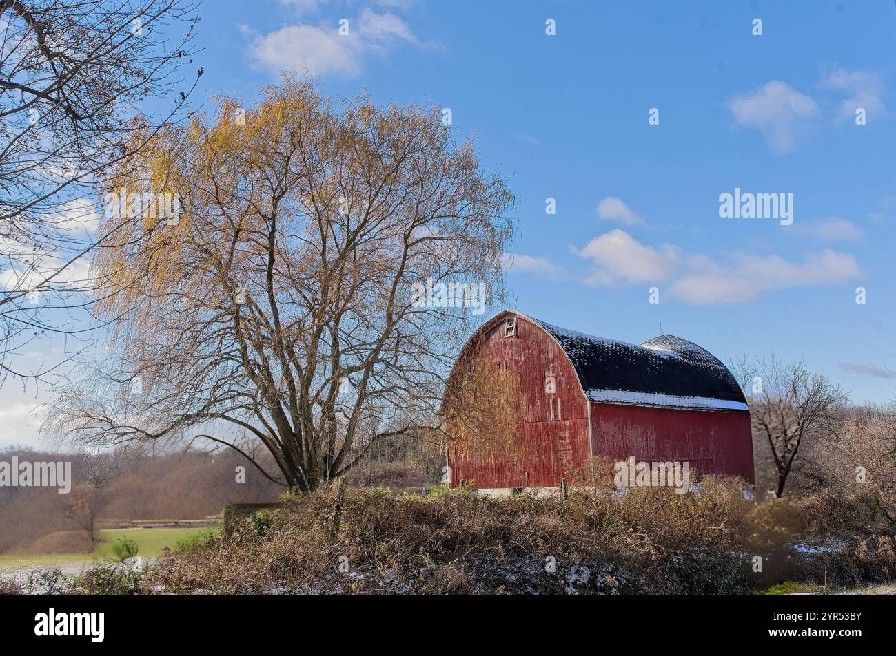 country camo air force 1