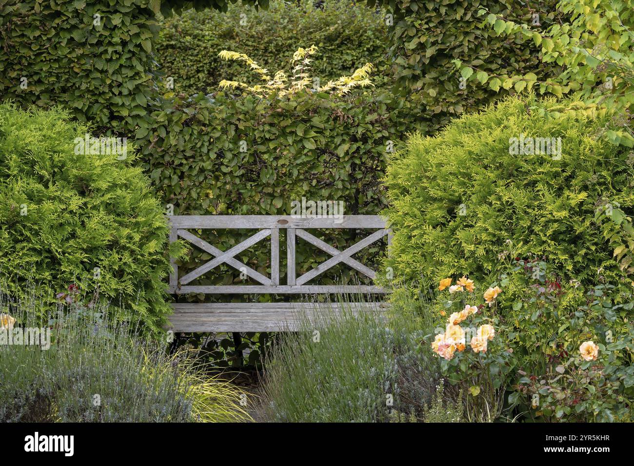 Empty wooden bench park hi-res stock photography and images - Alamy