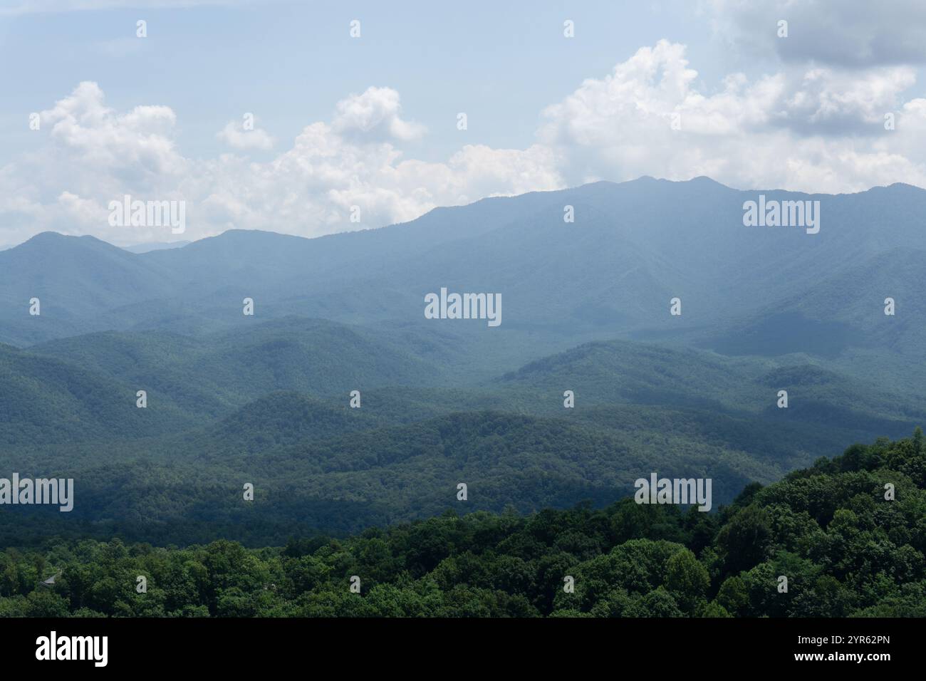 Serene Mountain Landscape with Rolling Fog and Lush Greenery Stock ...