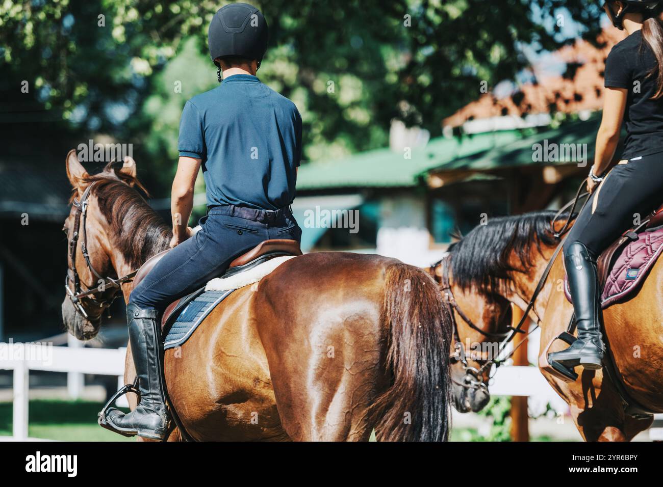 Two equestrians riding horses in a sunny outdoor setting Stock Photo ...