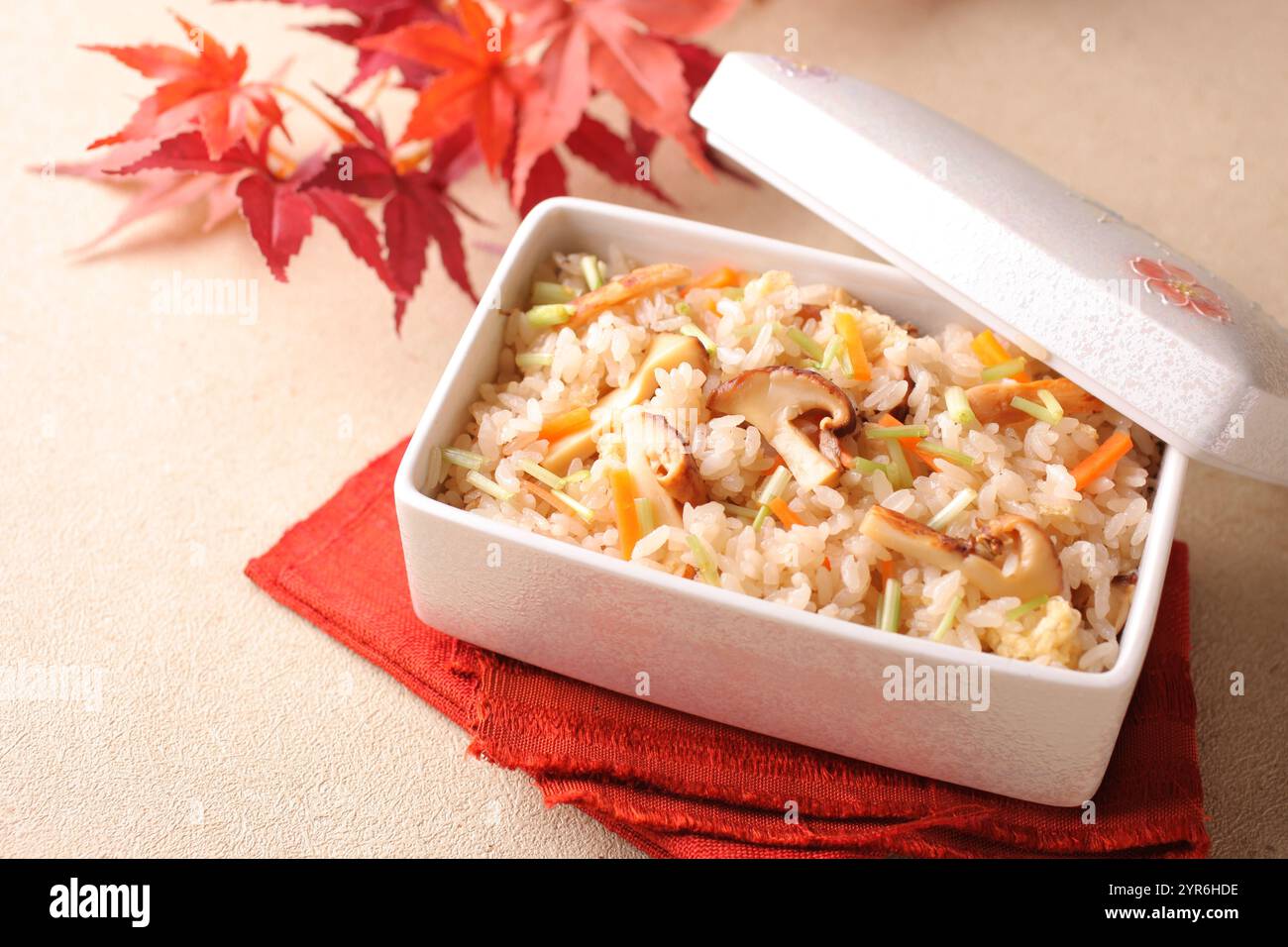 Matsutake mushroom rice Stock Photo - Alamy