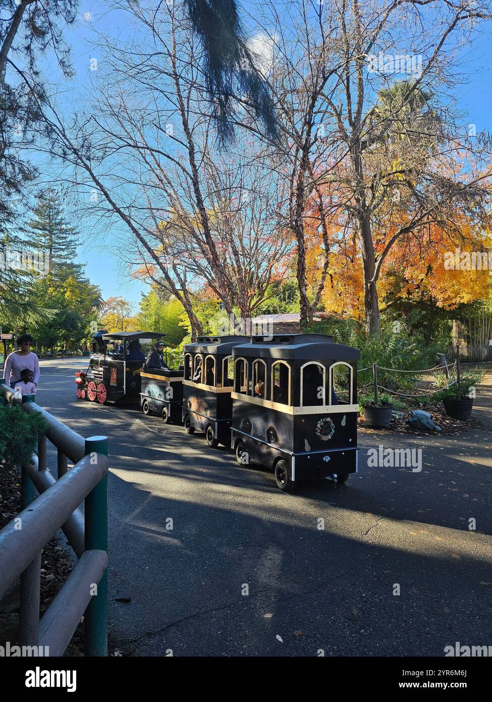 Miniature black train rides through a park surrounded by autumn trees, with families enjoying the outdoor activity under a clear blue sky. - Smartphone Captured Stock Image