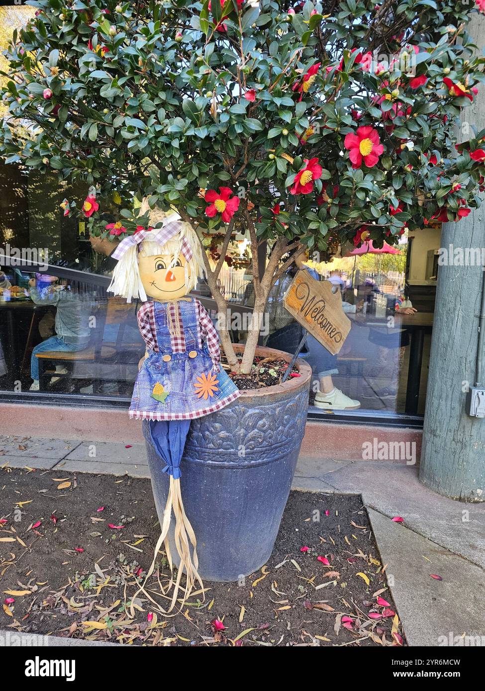 Decorative scarecrow doll sitting on a large planter with a blooming camellia tree and a wooden 'Welcome' sign, adding charm to the outdoor setting. - Smartphone Captured Stock Image