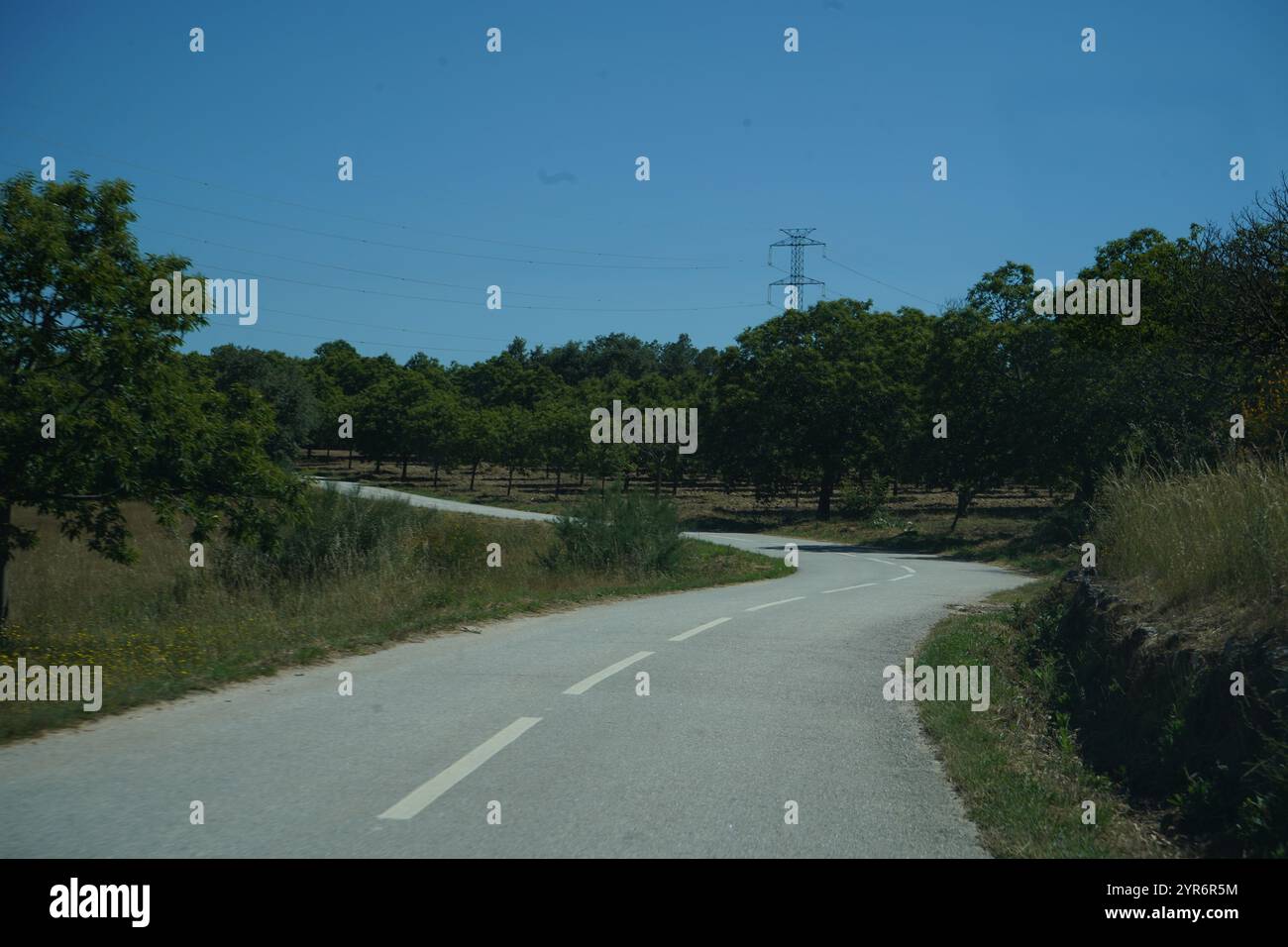 These series of Photographs were captured in the outskirts of
