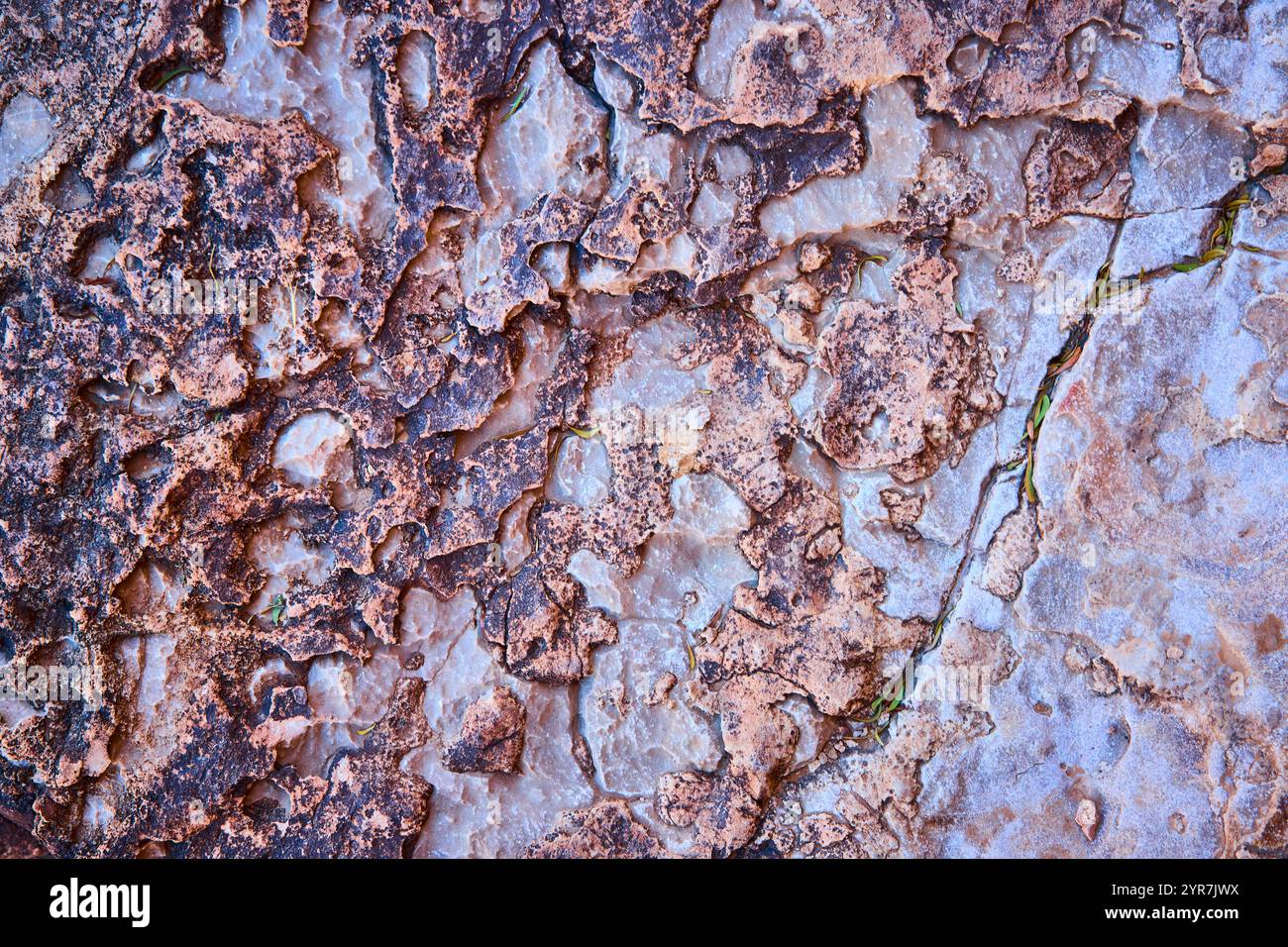 Textured Rock Surface with Earthy Tones and Patterns Eye-Level ...