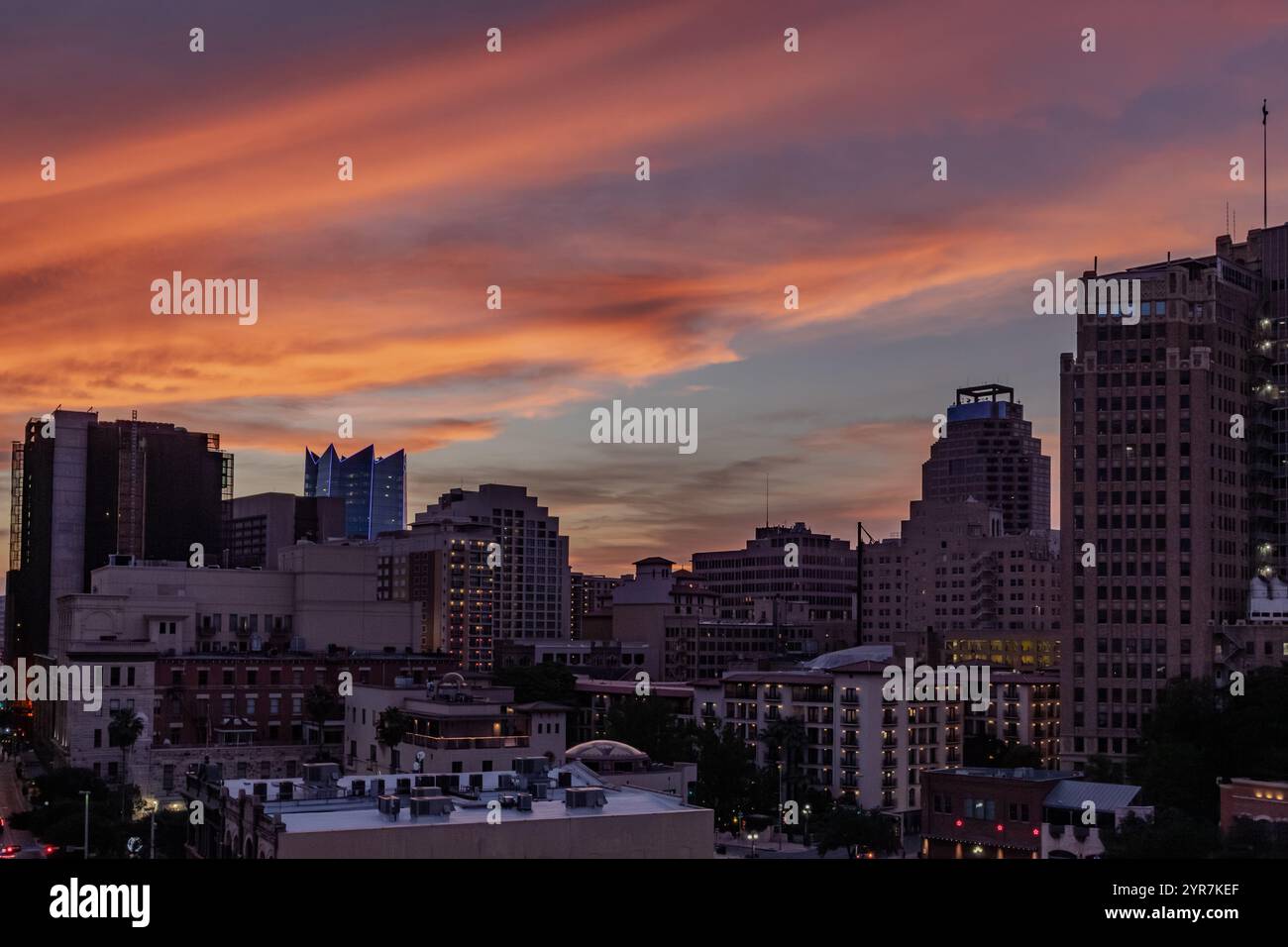 Gallery image with a fresh perspective