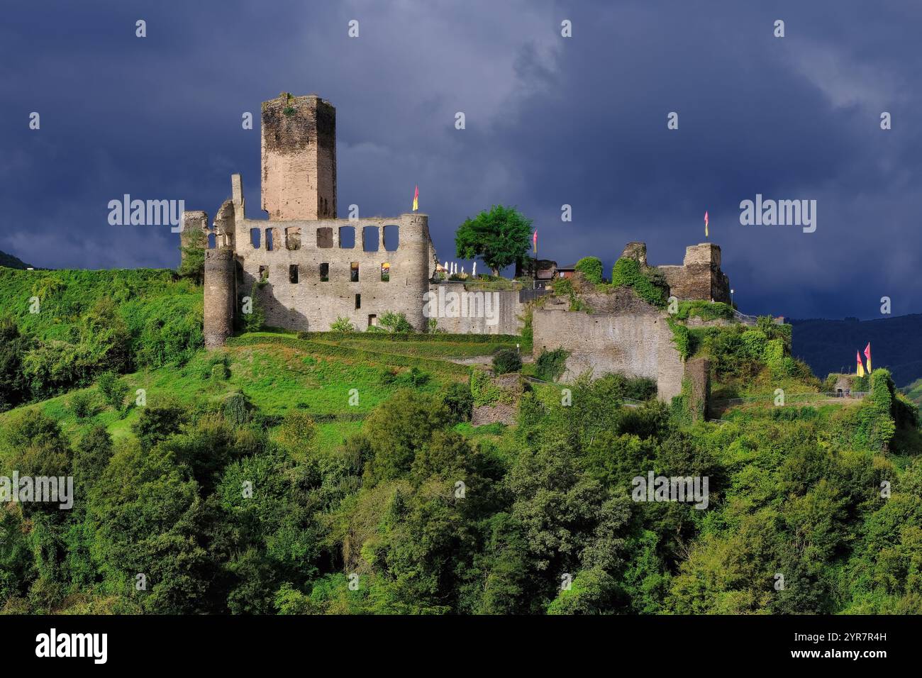 Beilstein: Burg Metternich castle above Beilstein, Moselle (Mosel) River, Rhineland-Palatinate, Germany Stock Photo