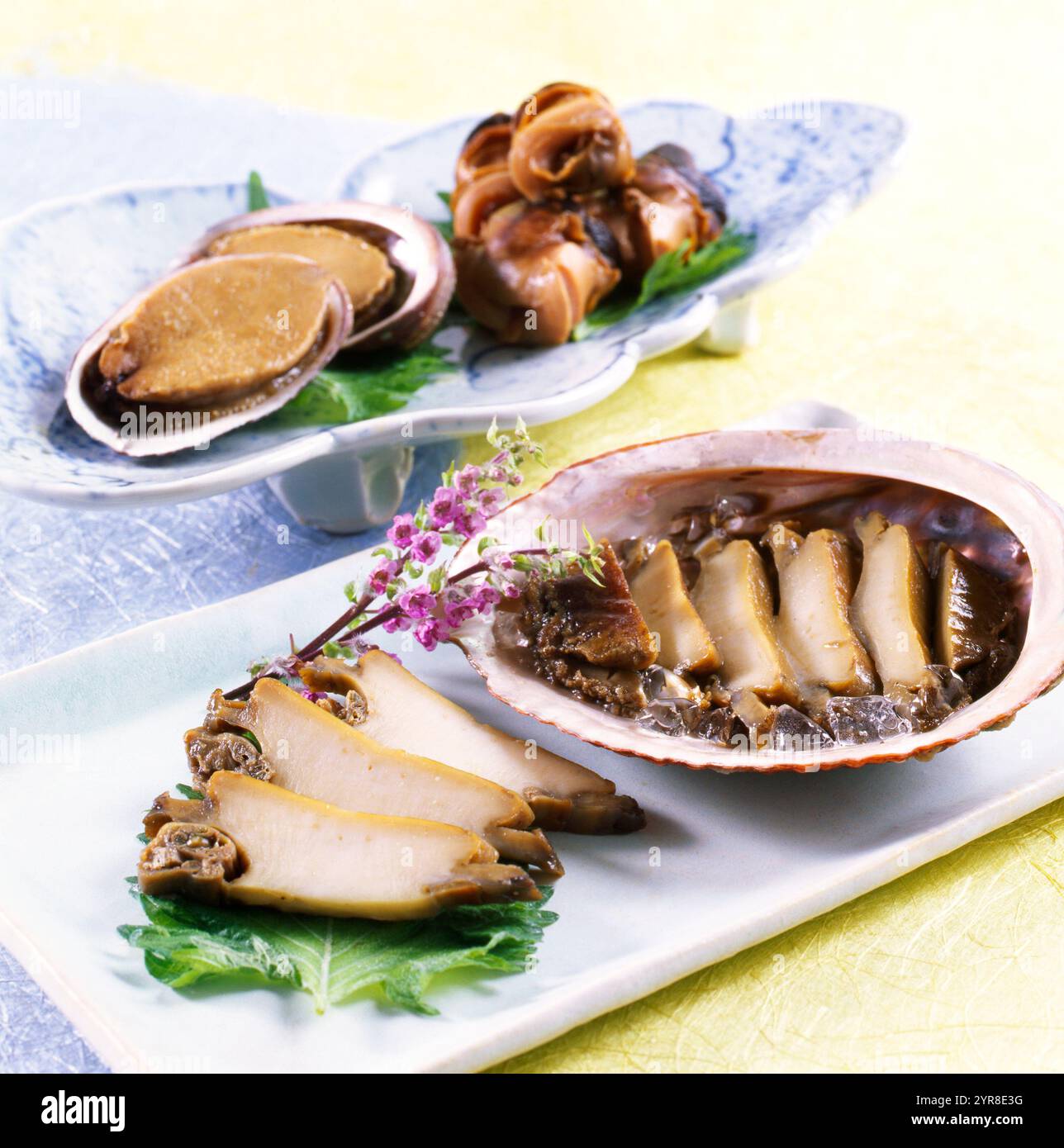 Abalone - turban shell - and Round Abalone Stock Photo - Alamy