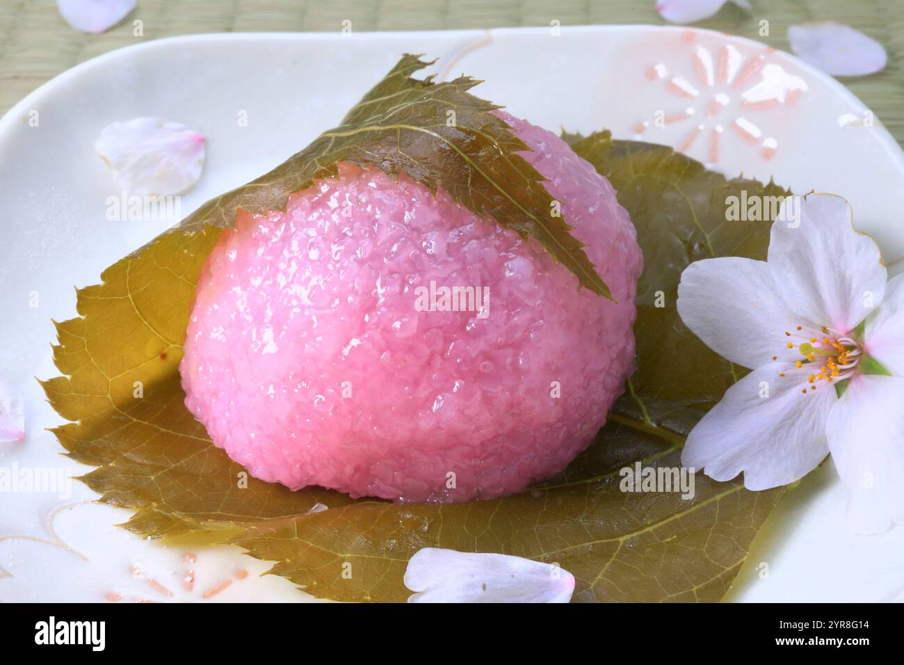 Tree rice hi-res stock photography and images - Alamy