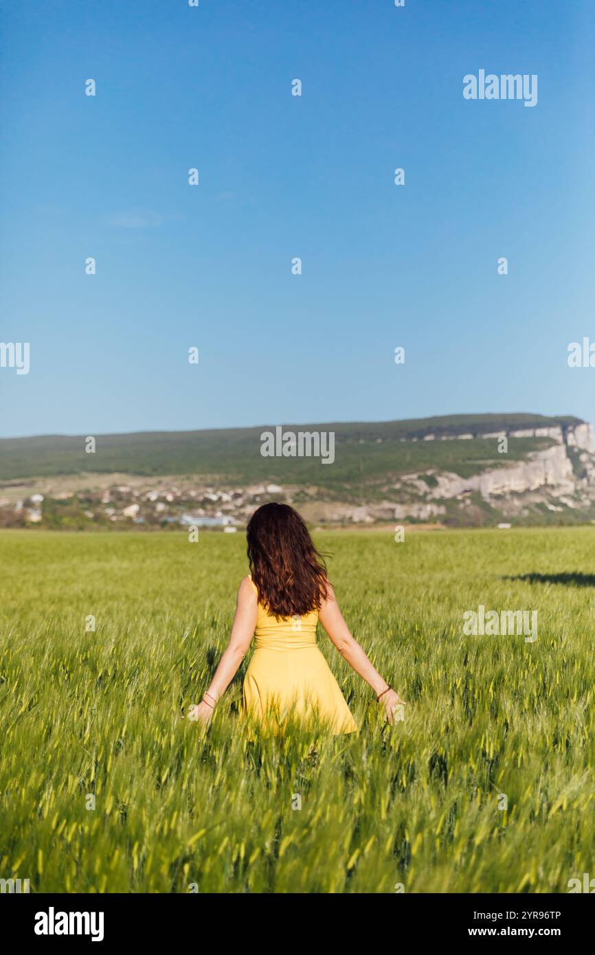 Woman in Dress Walking Through Wheat Field Harvest Stock Photo - Alamy