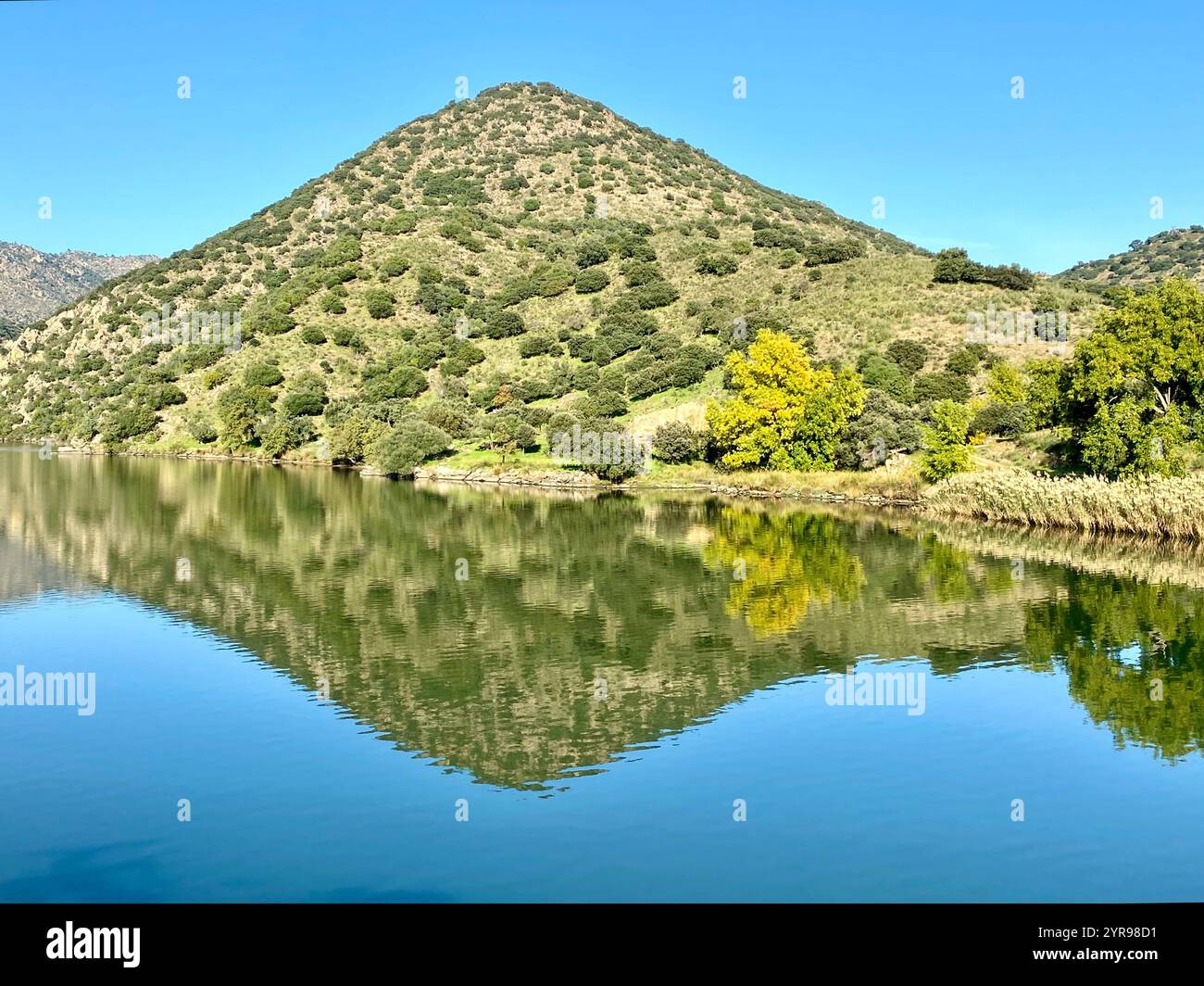 Panoramic scenic view of beautiful countryside along the river Douro in Portugal - Smartphone Captured Stock Image
