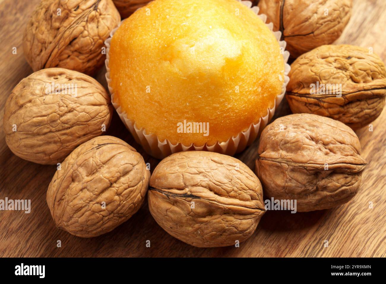 A close-up of fresh golden muffin surrounded by unshelled walnuts on rustic wooden surface. High calorie energy packed snack combines richness and nut Stock Photo