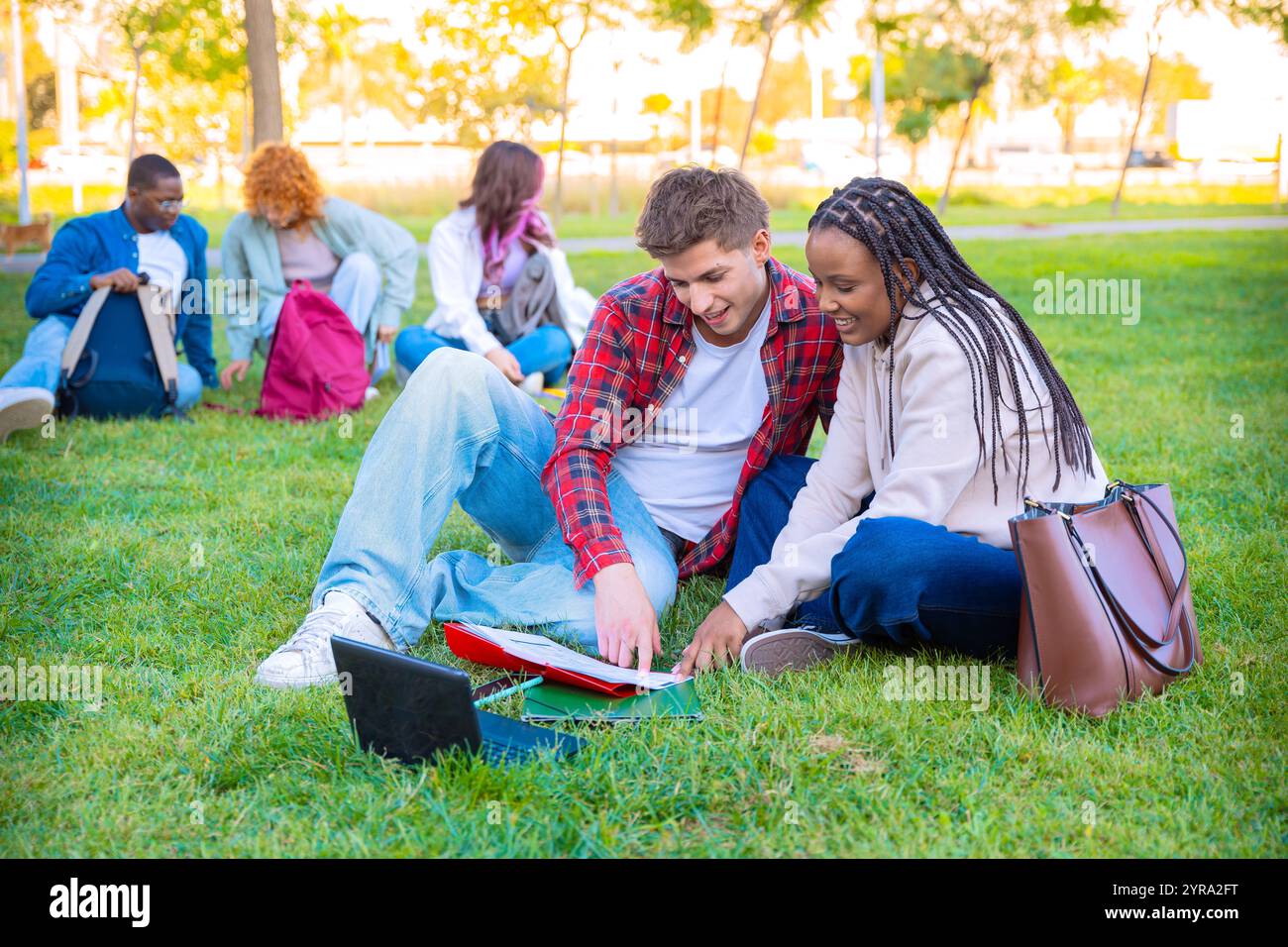 Young couple using laptop together while sitting on grass outdoors Stock Photo