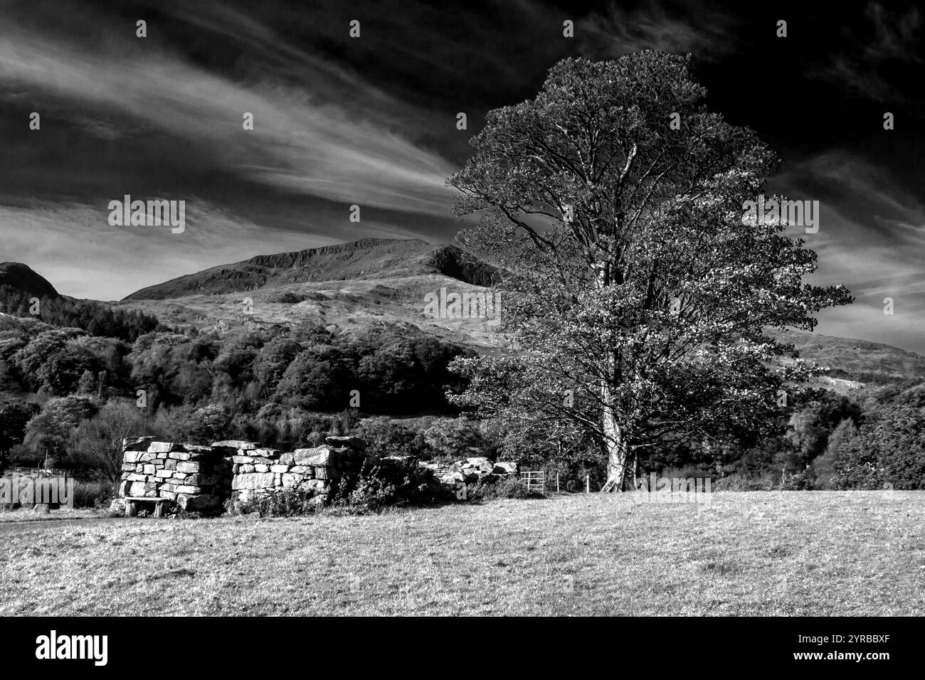 Dramatic Black and White view of a Small Ruin with the craggy peak of Moel Hebog in the background Stock Photo