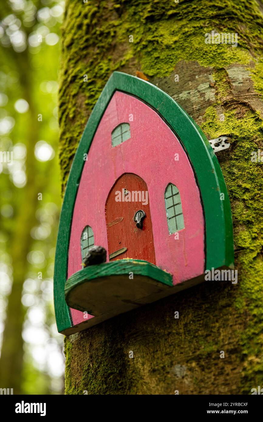 Ireland, County Mayo, Ballina, Beleek Castle woods, Fairy Door on tree Stock Photo