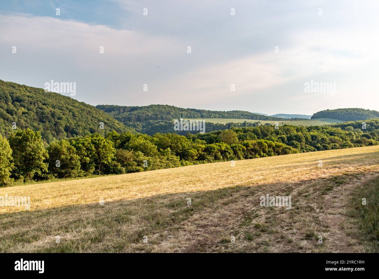 Rolling hills meet lush hi-res stock photography and images - Alamy