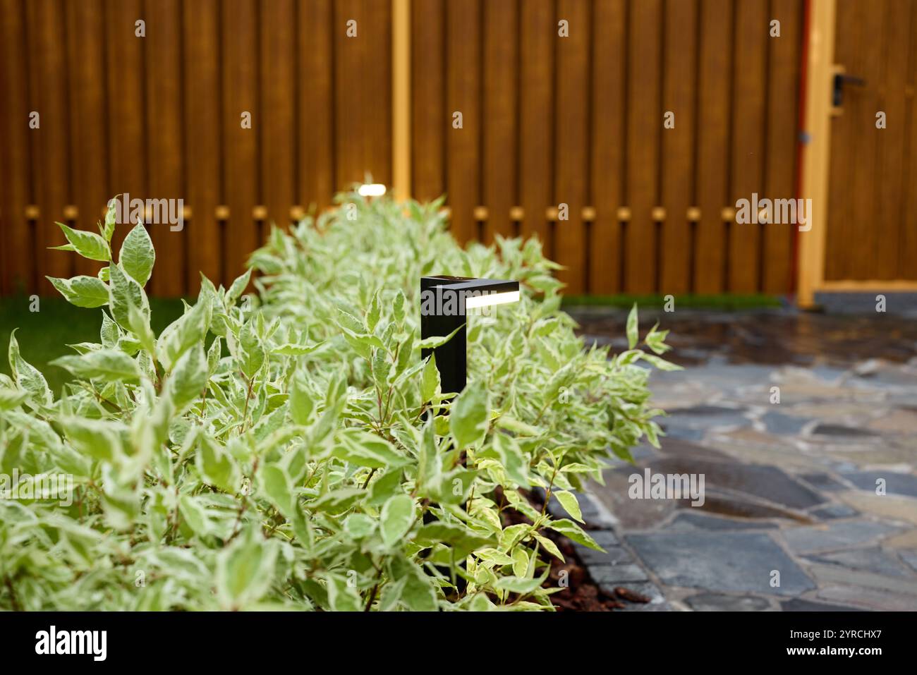 15 Stunning Garden Path Lighting Ideas We Love - The Spruce