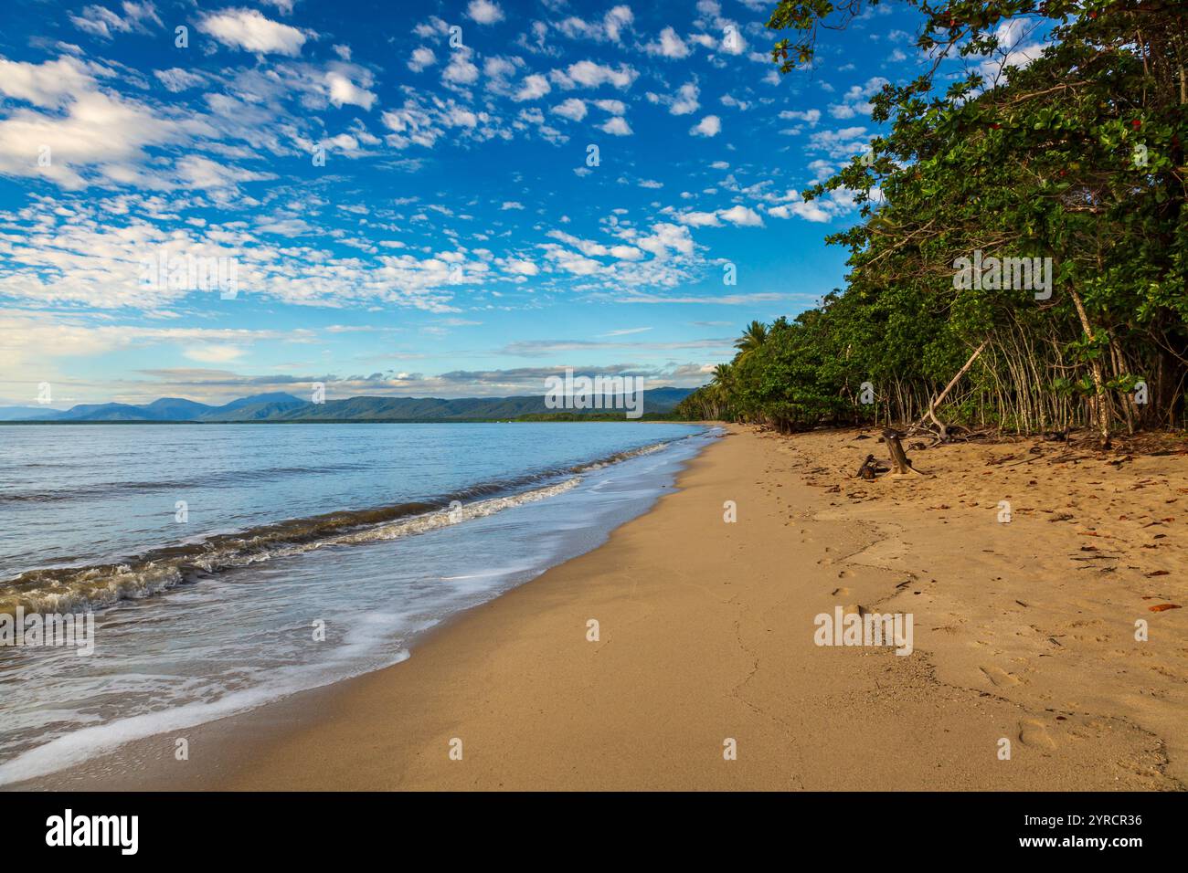 Pristine sandy beach in coastal hi-res stock photography and images - Alamy