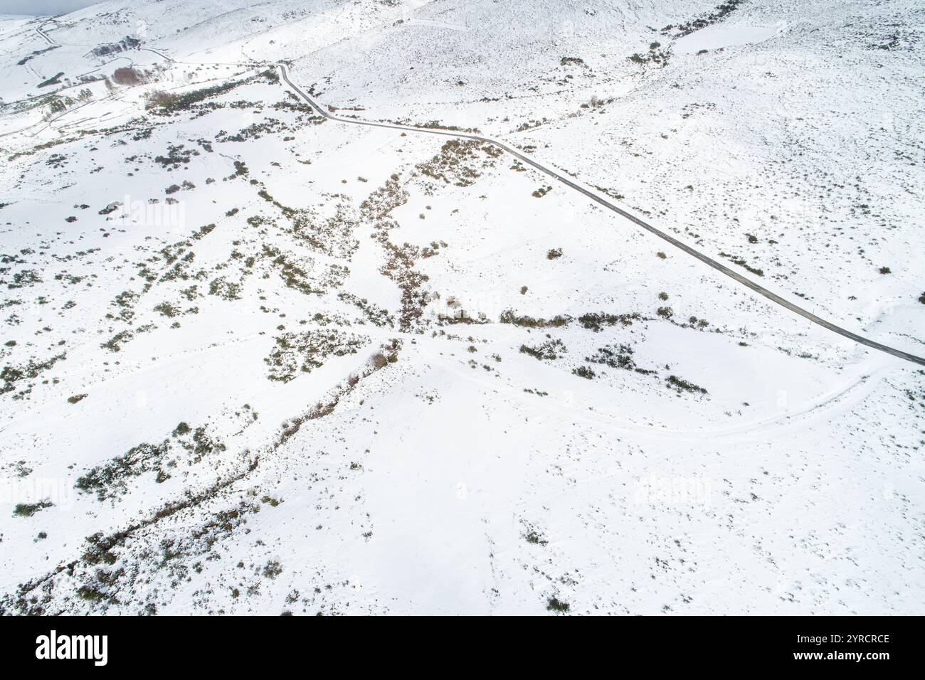 Drone flight through snowy forest hi-res stock photography and images ...