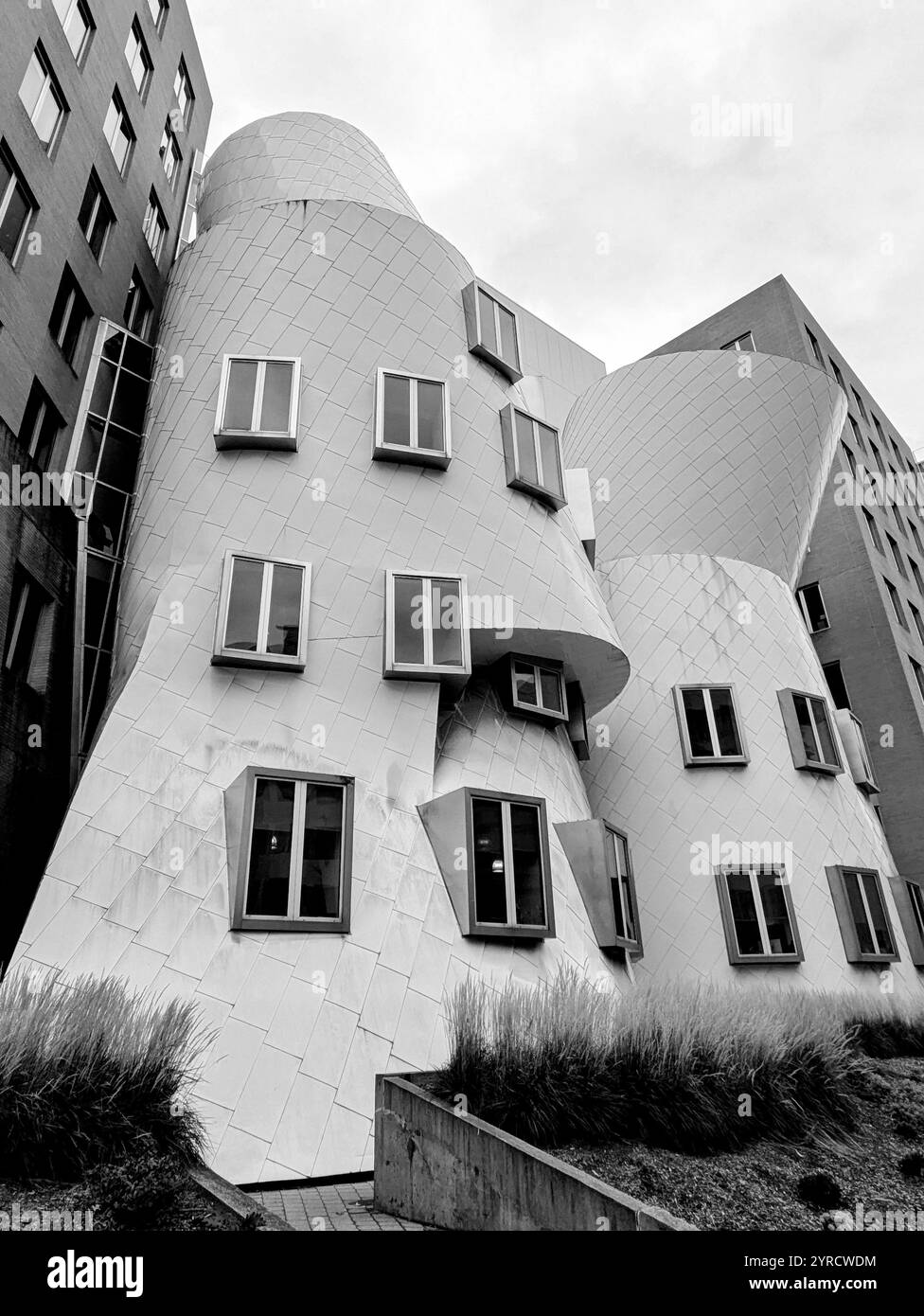 MIT Boston building design by Frank Gehry - Smartphone Captured Stock Image