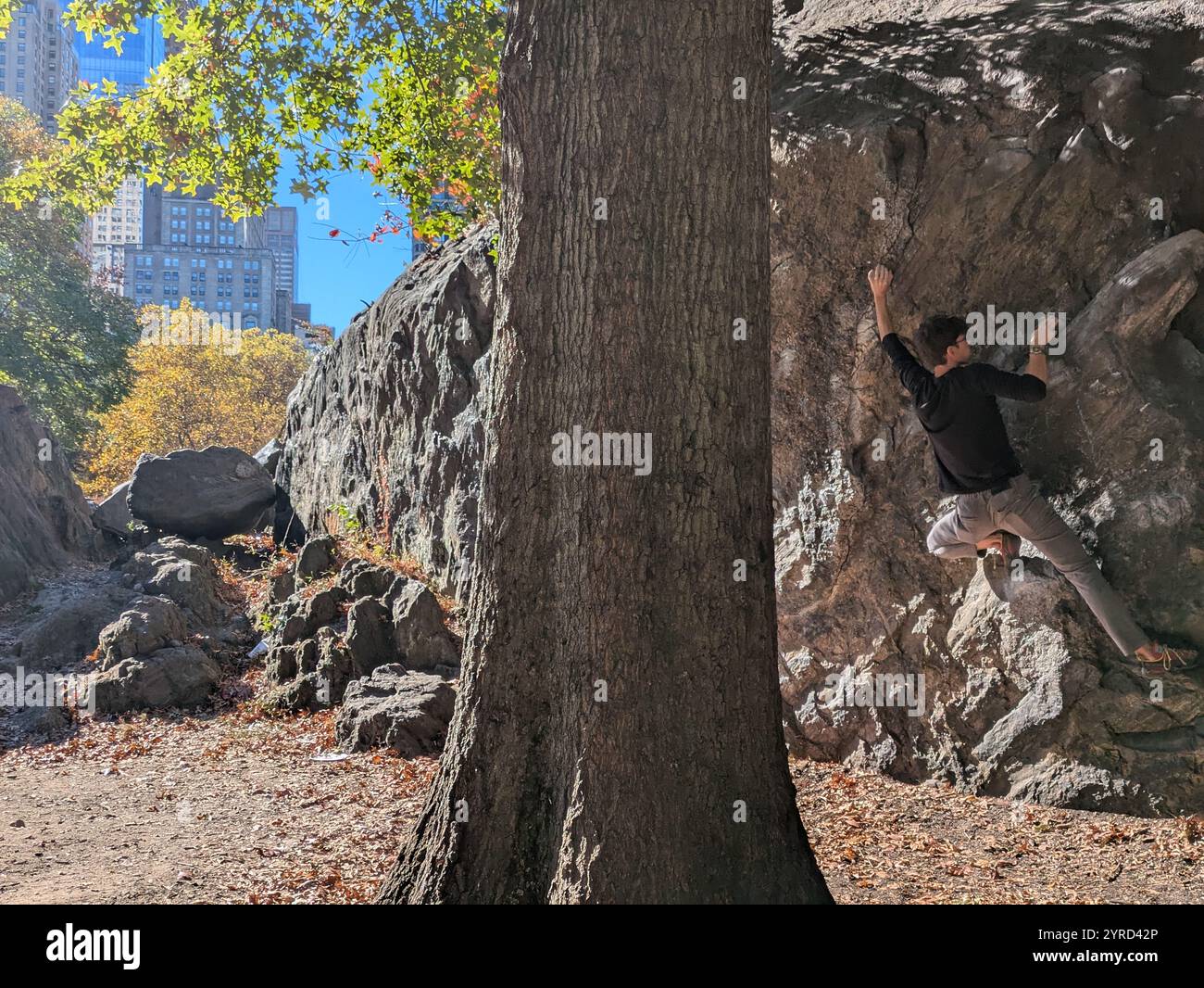 Young man rock climbing in central park - Smartphone Captured Stock Image