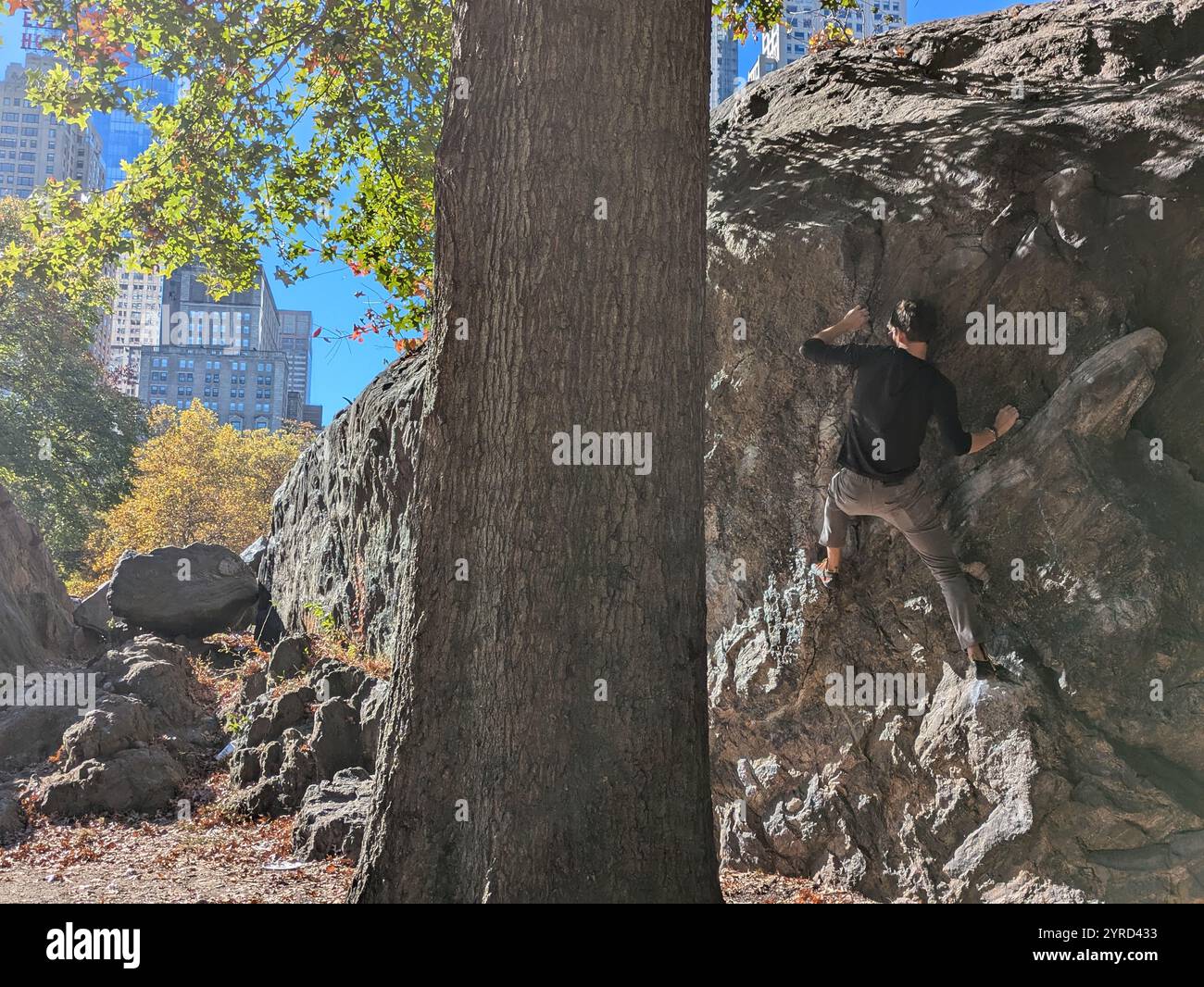 Young man rock climbing in central park - Smartphone Captured Stock Image