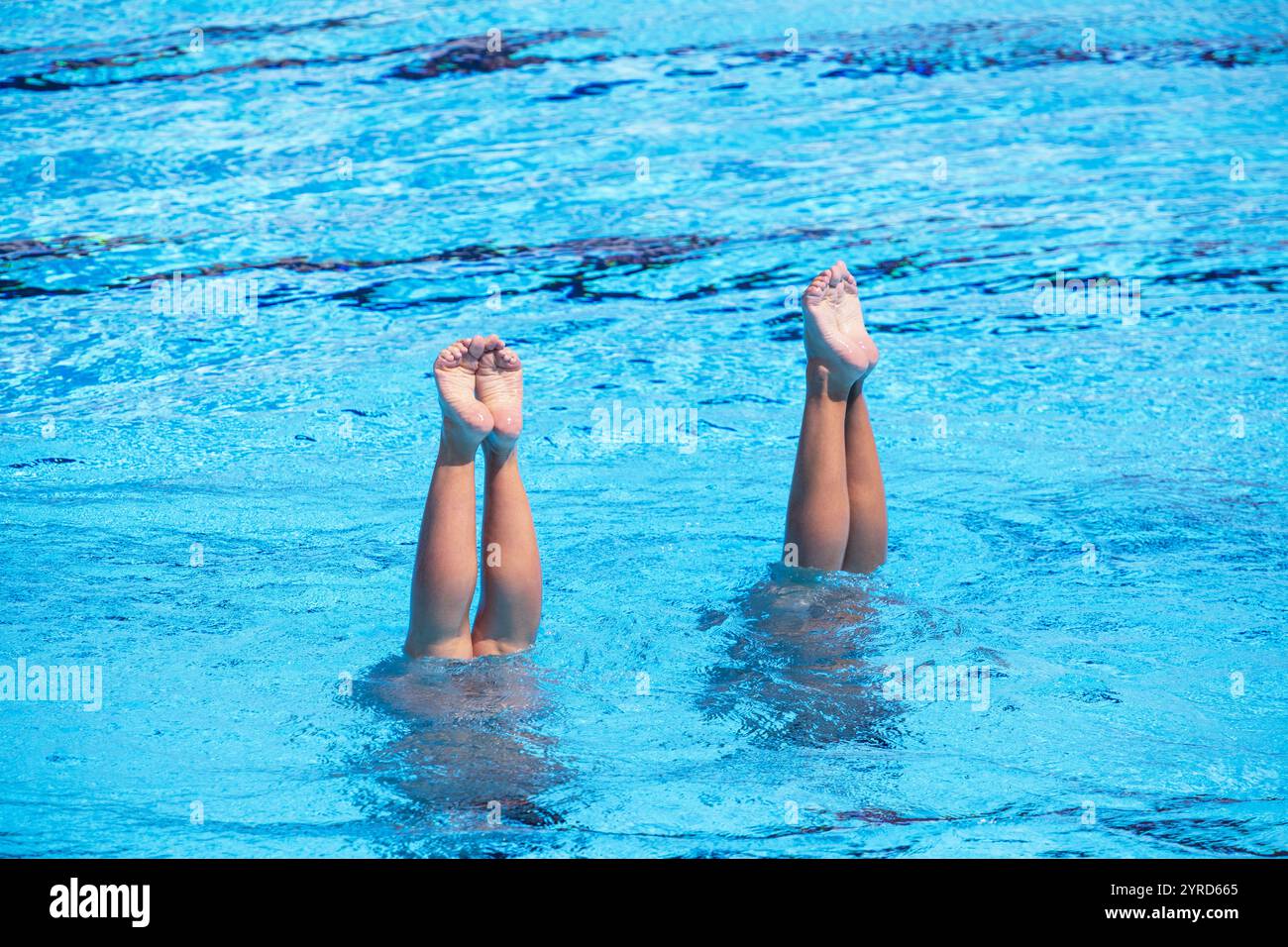 Rusty Rivets Synchronized Swimming Artistic swimmers duet performing synchronized choreographed routine in ...