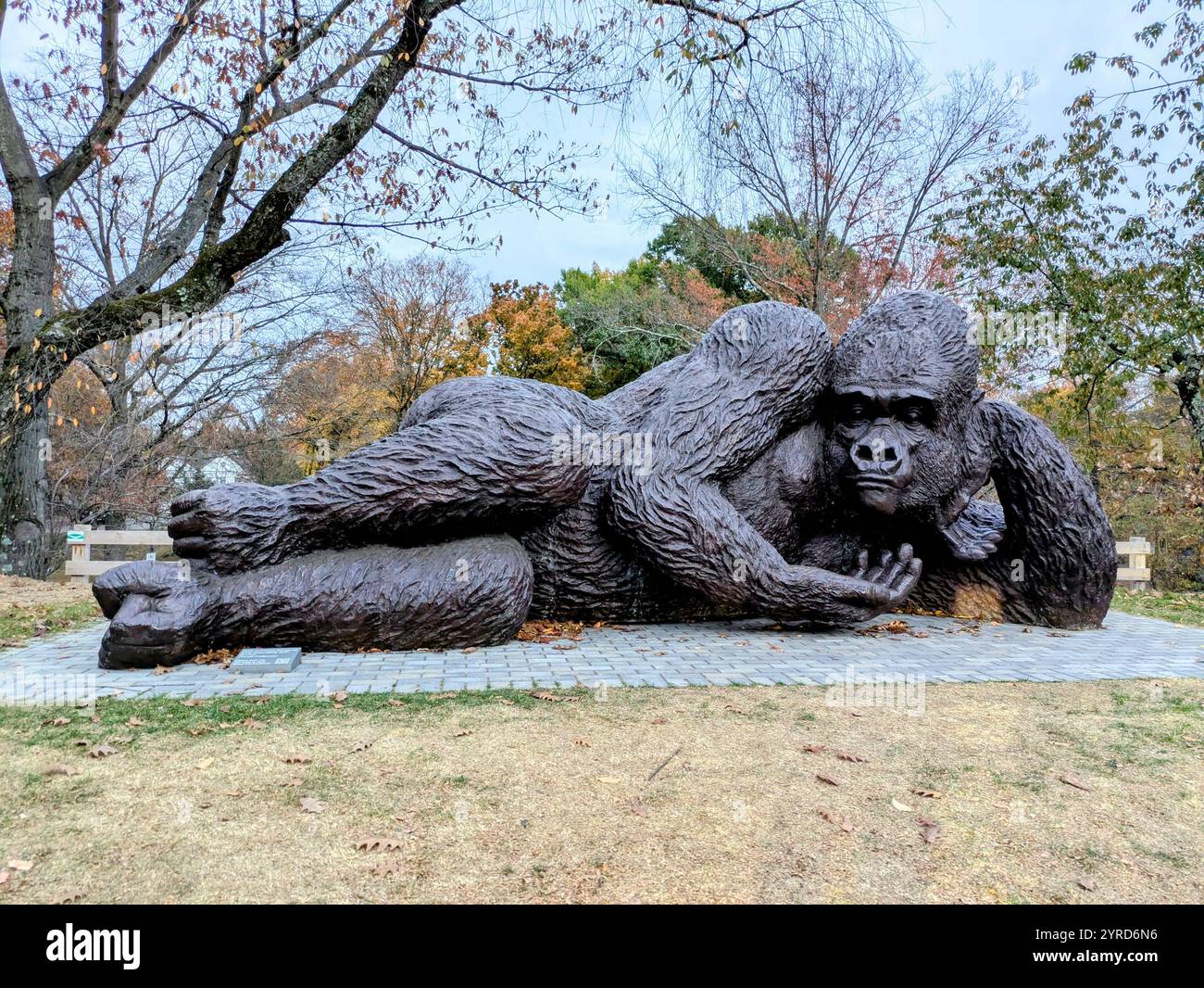 Large gorilla sculpture at the Bruce Greenwich CT - Smartphone Captured Stock Image