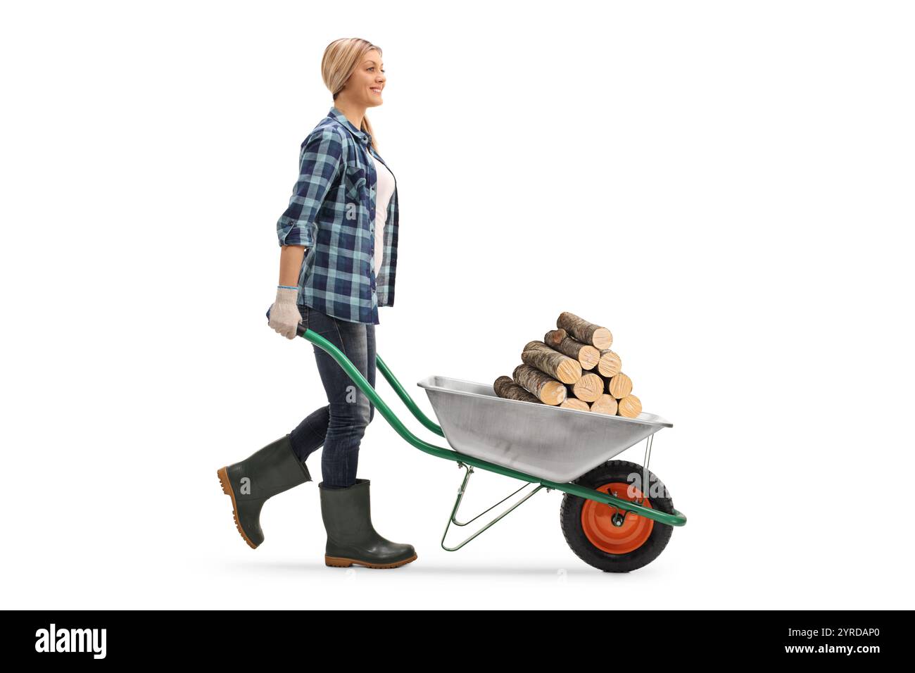 Female worker pushing firewood trunks in a wheelbarrow isolated on ...