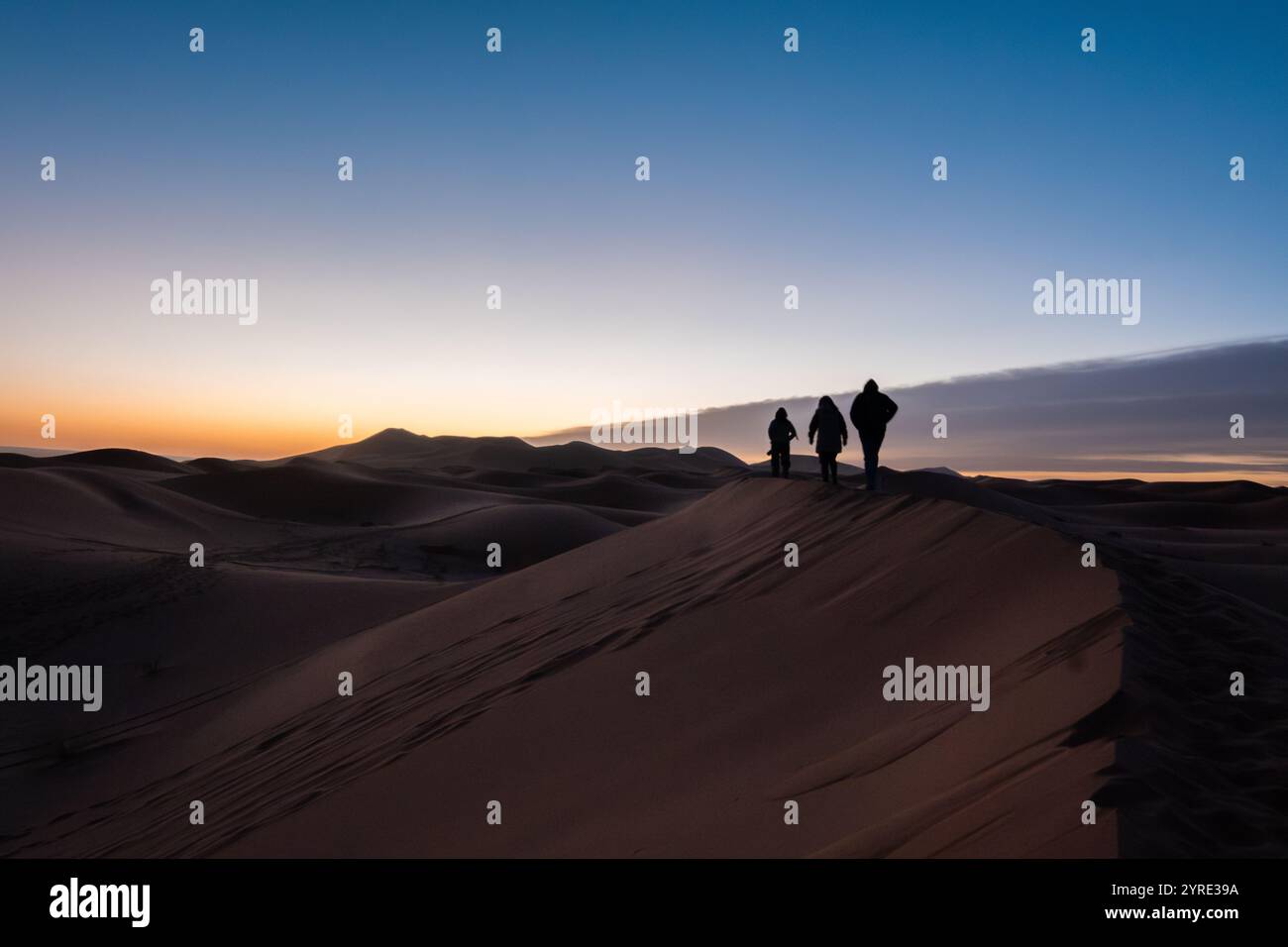 Three people walk on the edge of a dune in the Sahara desert. It is ...
