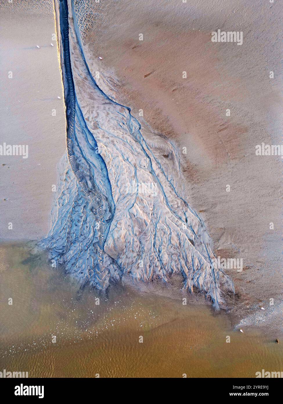 Mudflat Ecosystem Aerial view of the tidal mudflats and channels of the Eemsdelta ...