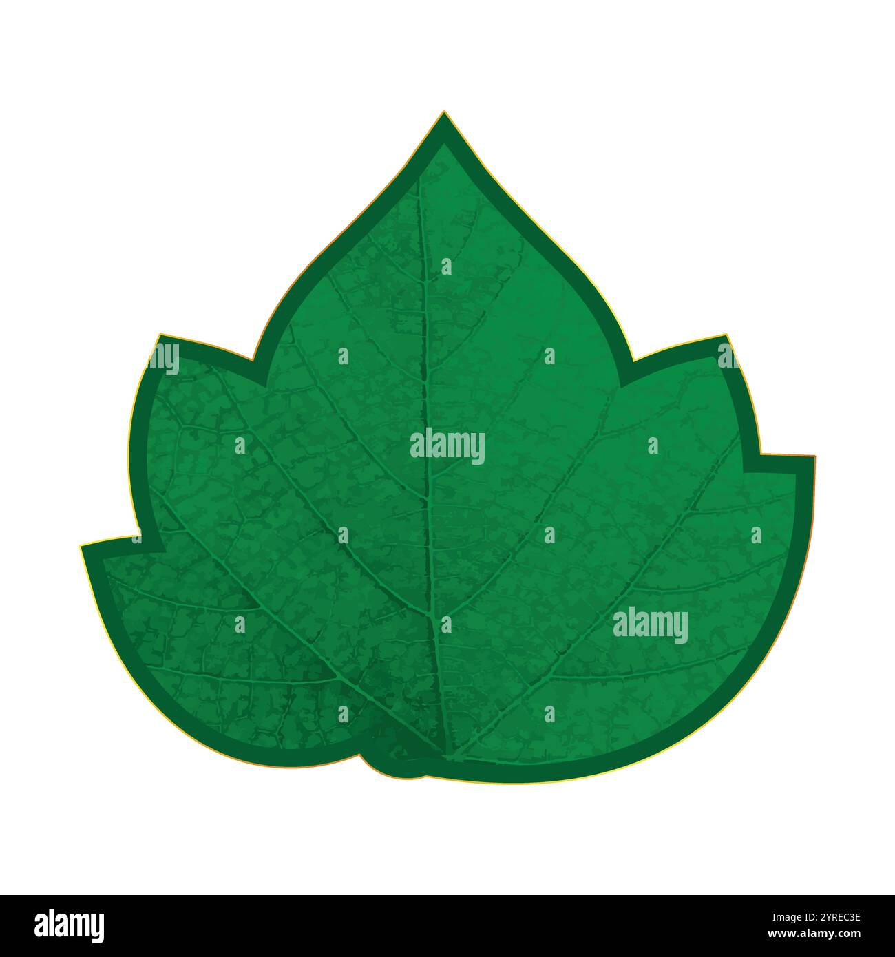 Leaf Design - Grapes Leaf Design Stock Vector