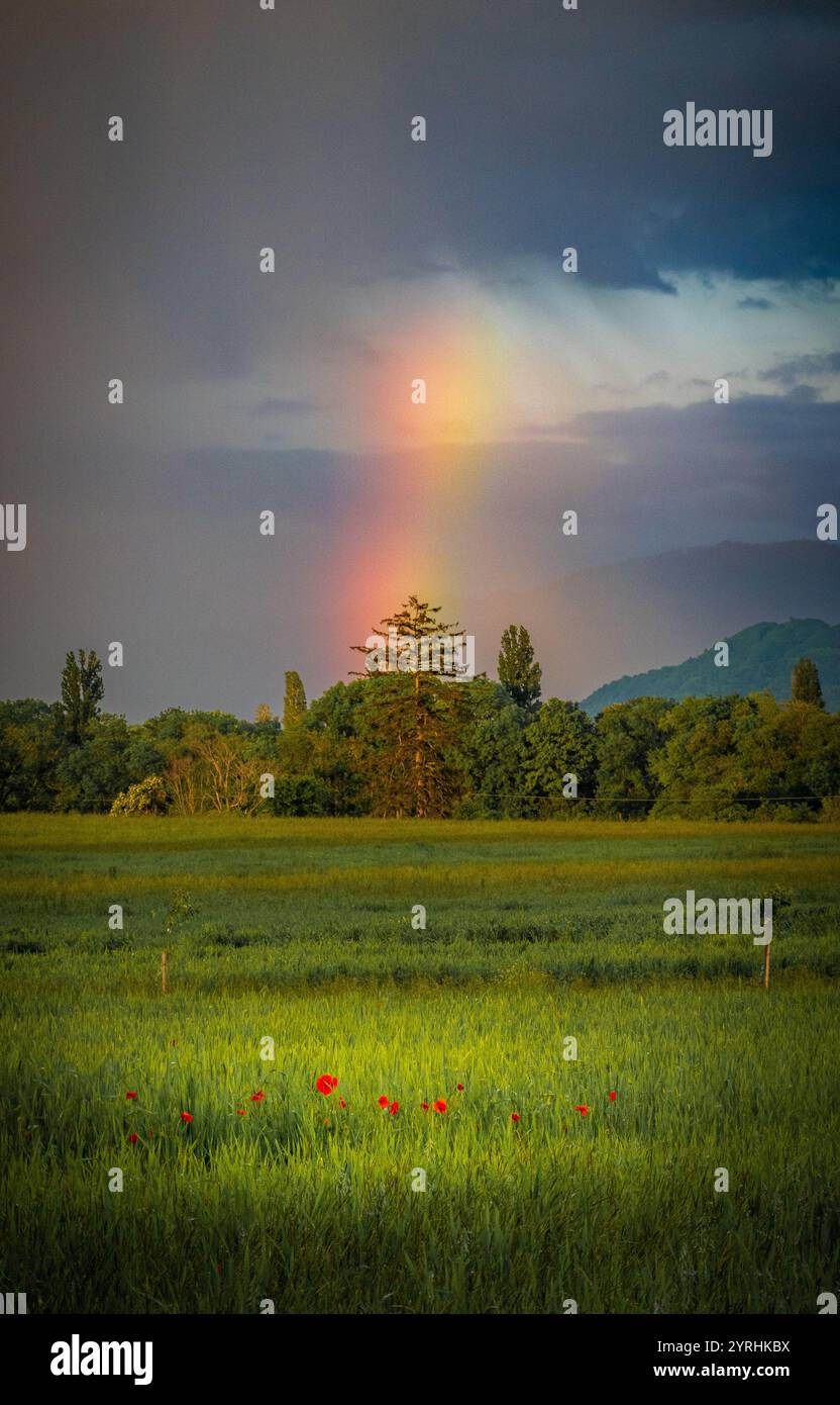 Distant Rainbow A captivating scene where a vivid rainbow gracefully arches over a lush ...