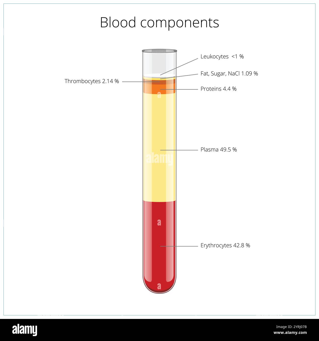 Components blood Stock Vector Images - Alamy