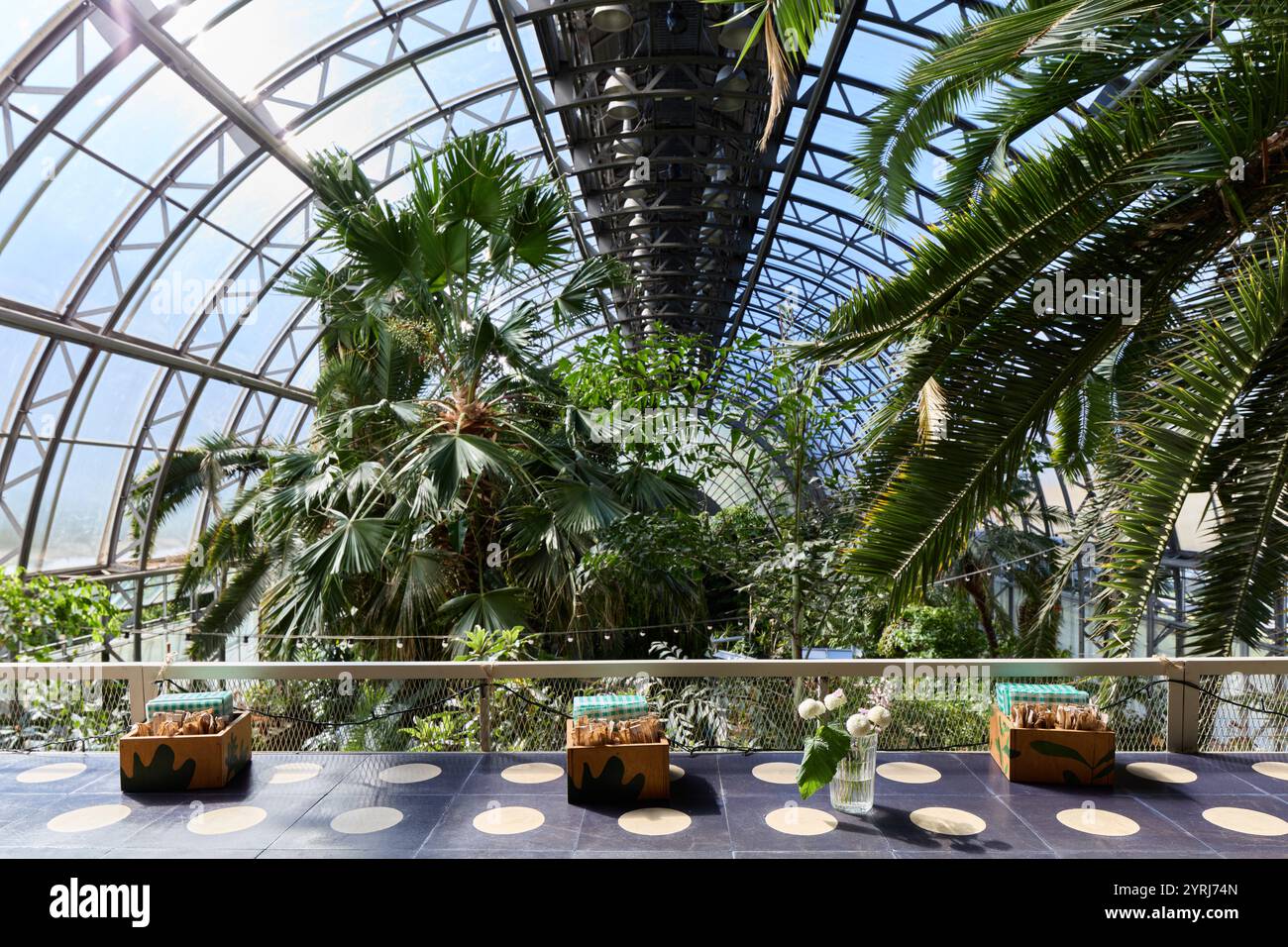 A lush greenhouse filled with vibrant tropical plants and sunlight ...