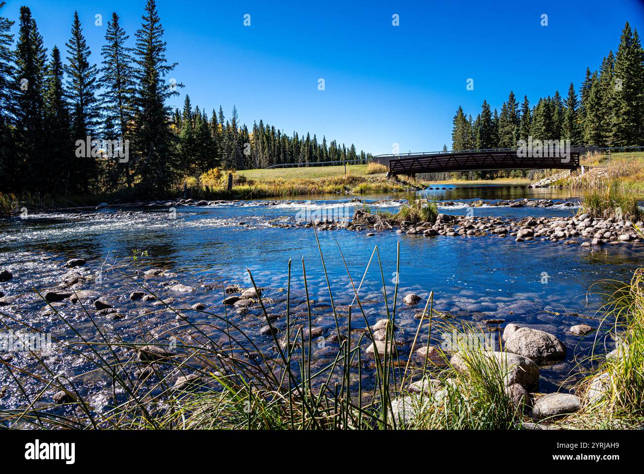 A bridge spans a river with a lush green field on either side. The ...