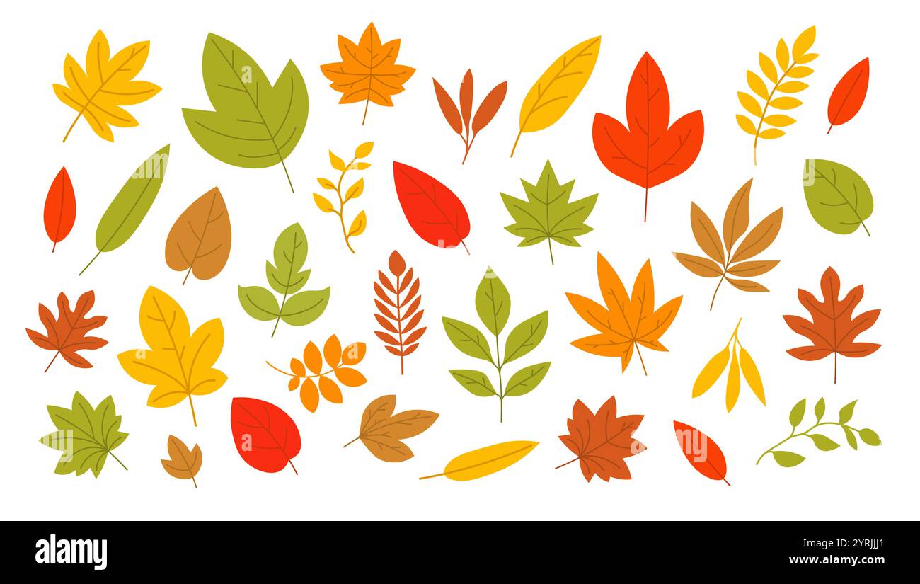 Colorful autumn leaves various shapes. Fall foliage illustration with ...