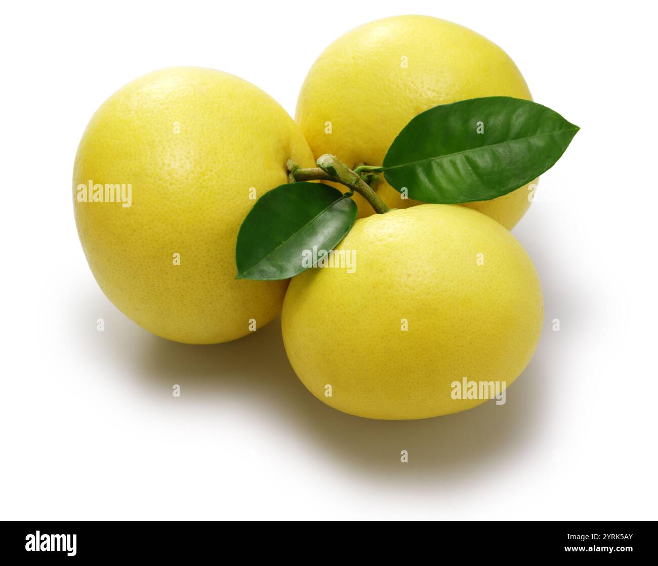 grapefruits isolated on white background Stock Photo