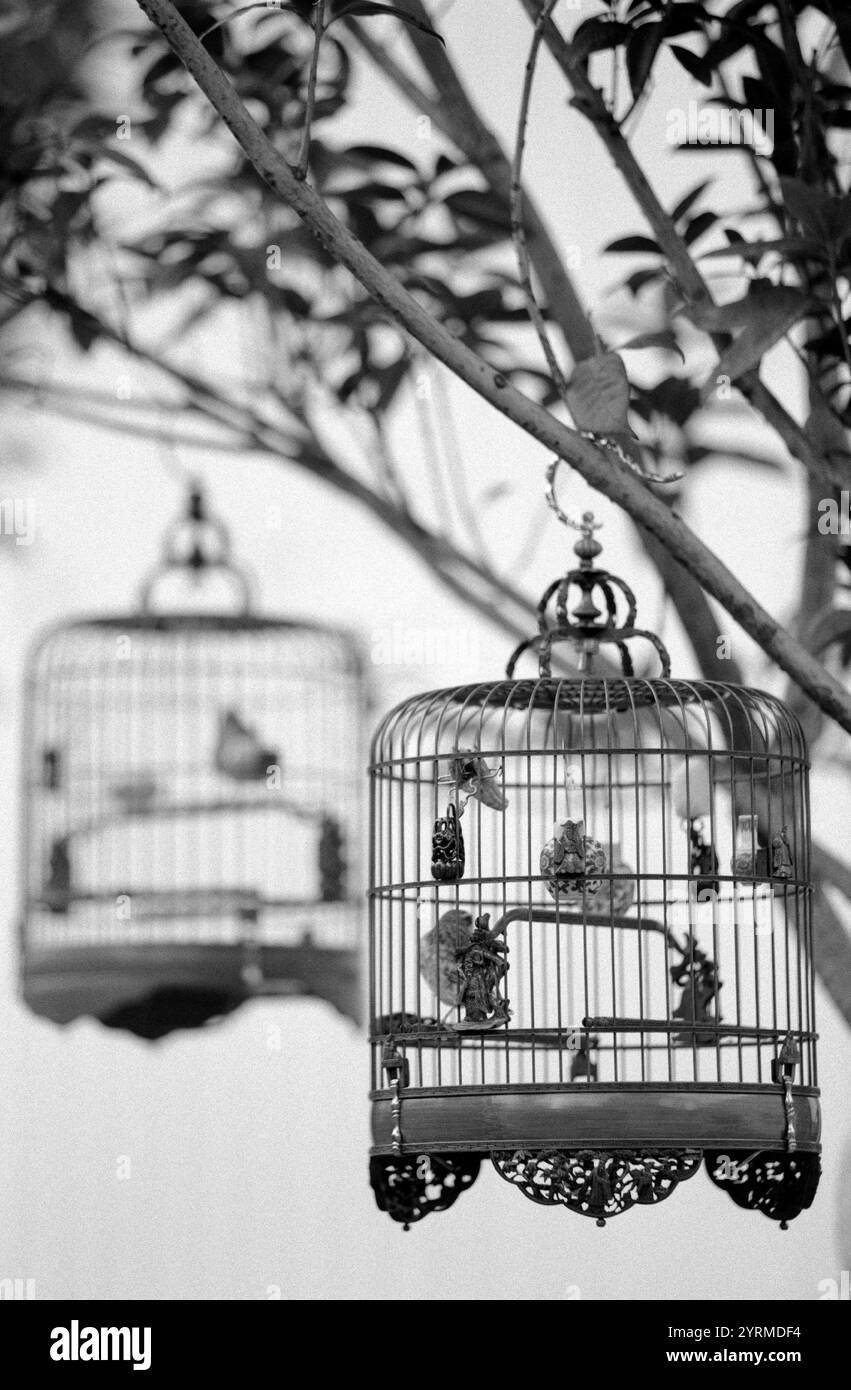 Hong kong items Black and White Stock Photos & Images - Alamy