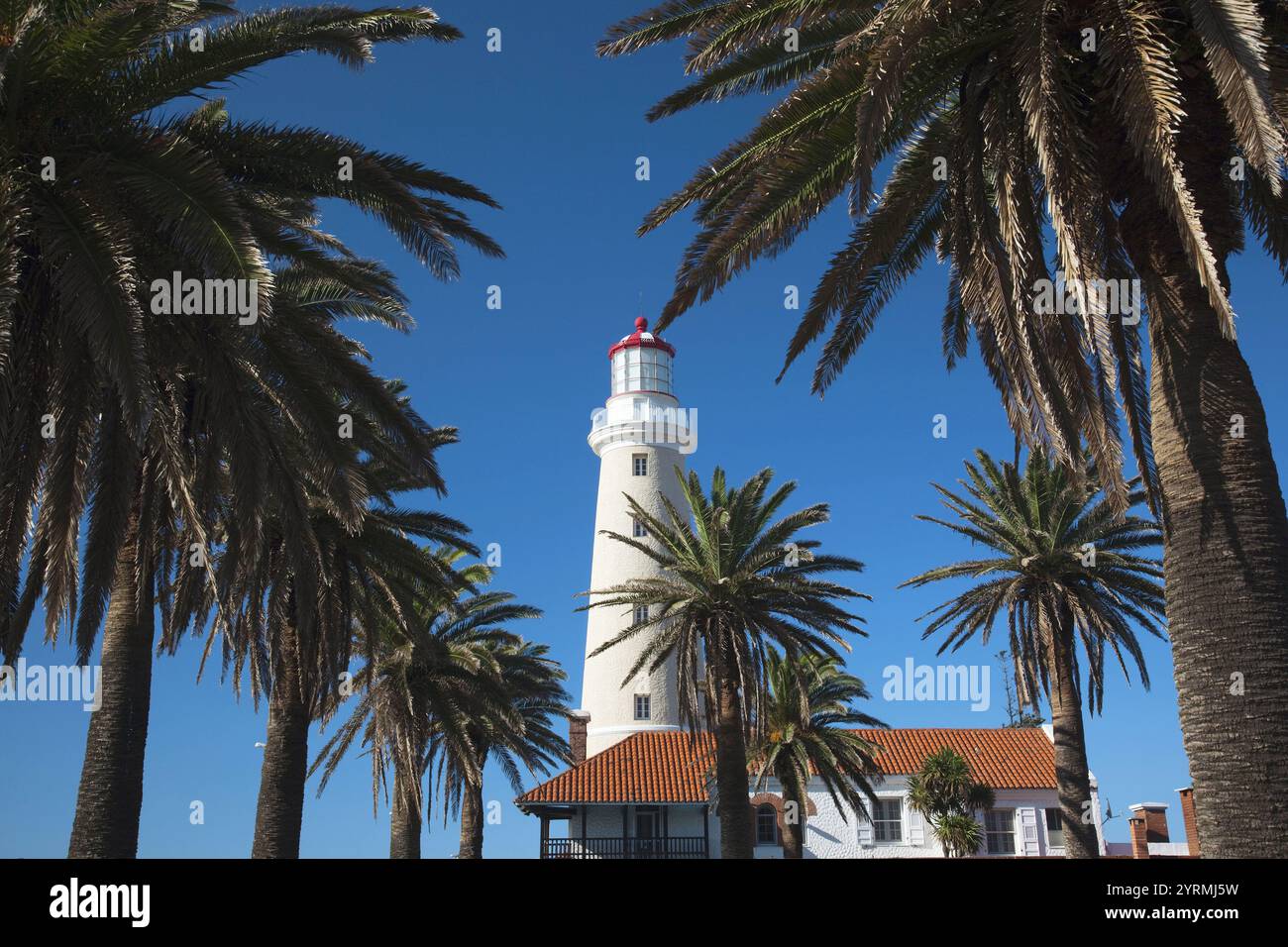 Amerika, Architektur, Atlantische, Atlantischer Ozean, Aussen, Draussen, Farbe, Führung, Horizontal, Länder, Leuchttürme, Leuchtturm, Morgen, Palme, P Stock Photo